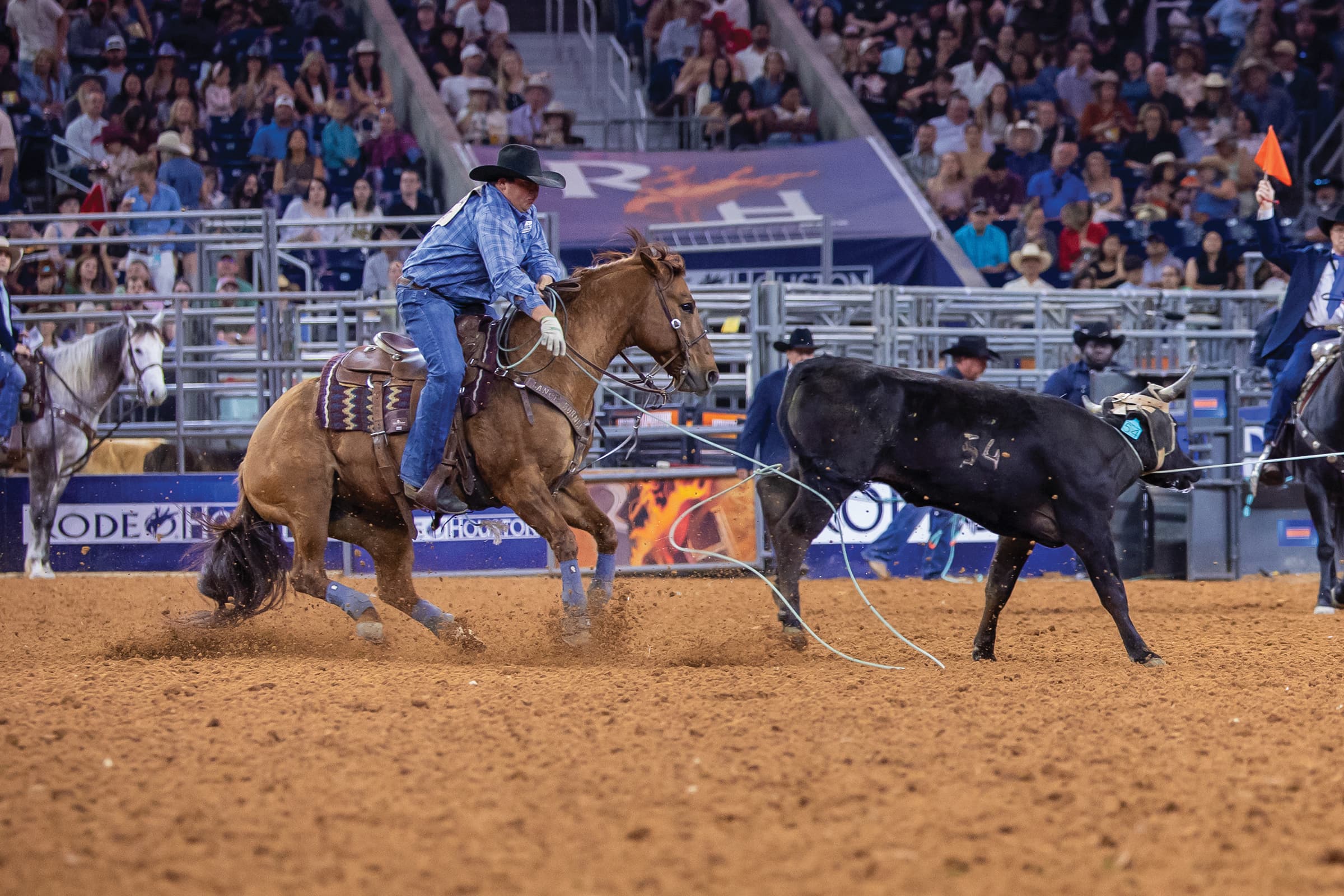 Team roping header in a blue plaid shirt rides a sorrel horse as his rope stretches to a black steer in a packed arena