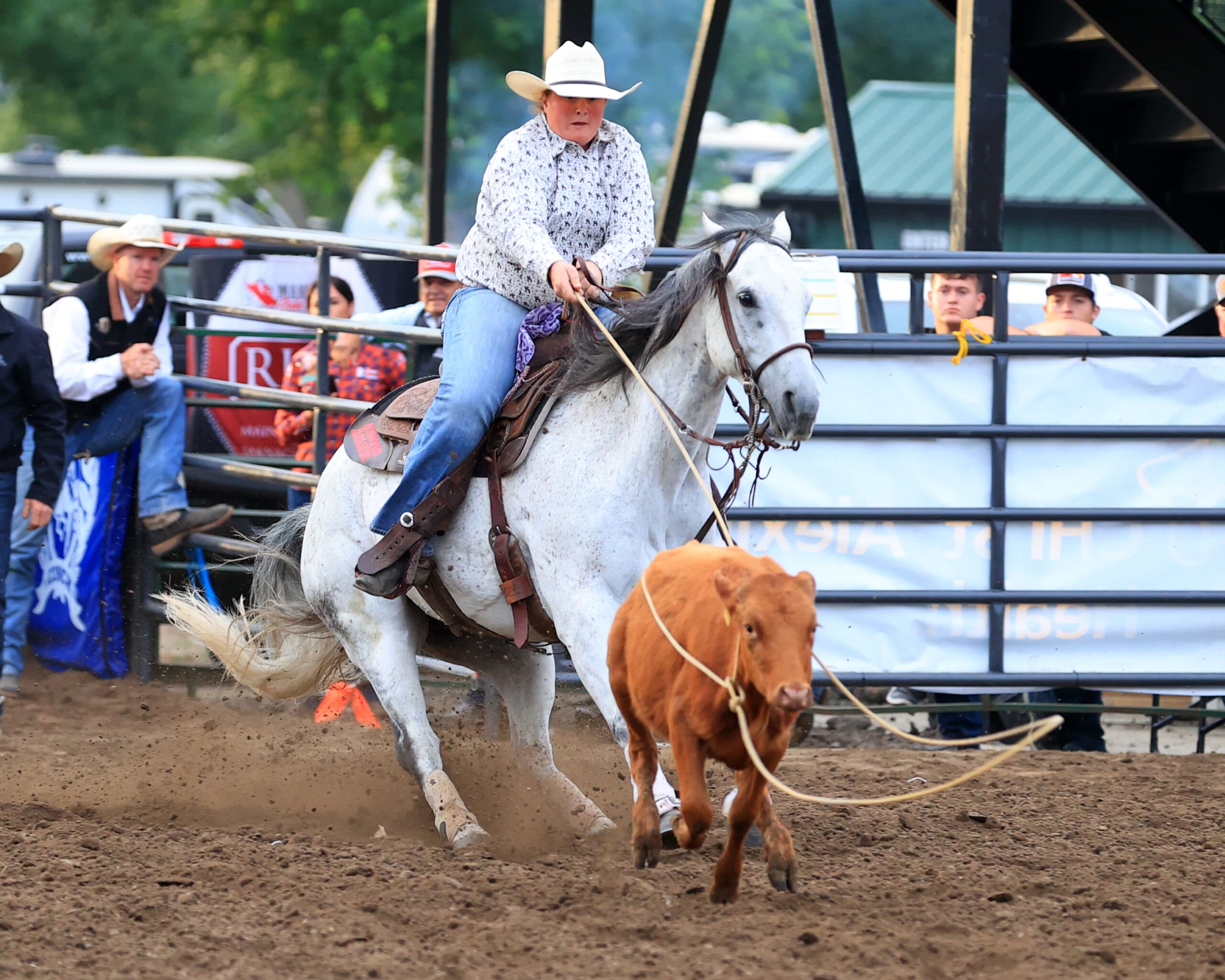 Sierra "CY" Christensen ropes a red calf at the 2024 Mandan Rodeo Days. Photo by Jackie Jensen