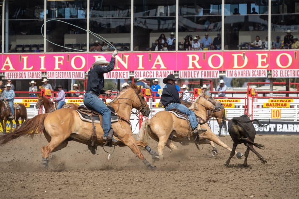 Team ropers on horseback chase a steer during competition at the California Rodeo, with spectators watching from the grandstands