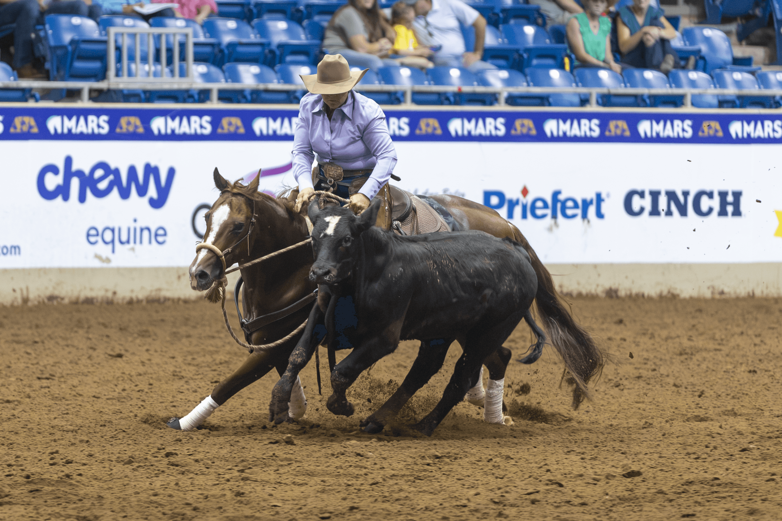 Debbie Crafton Wins 5th Straight NRCHA Non Pro Hackamore Classic Championship