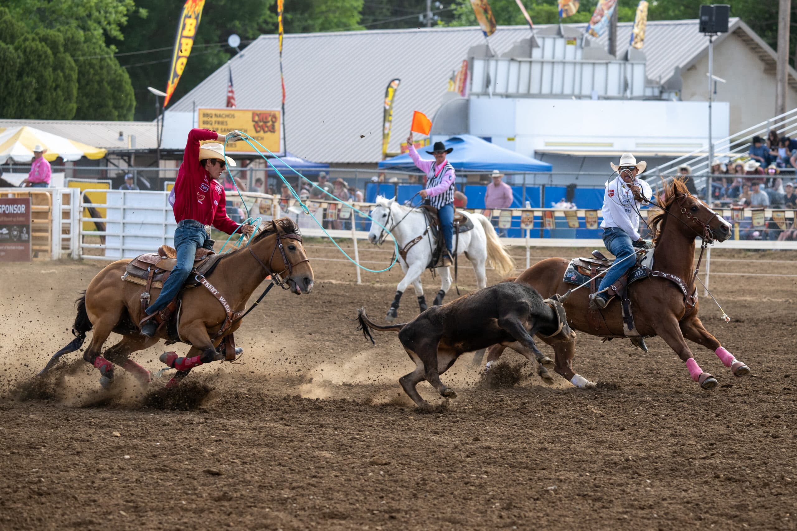 Team ropers on horses pursue a steer during a rodeo competition in a dirt arena with grandstands in the background