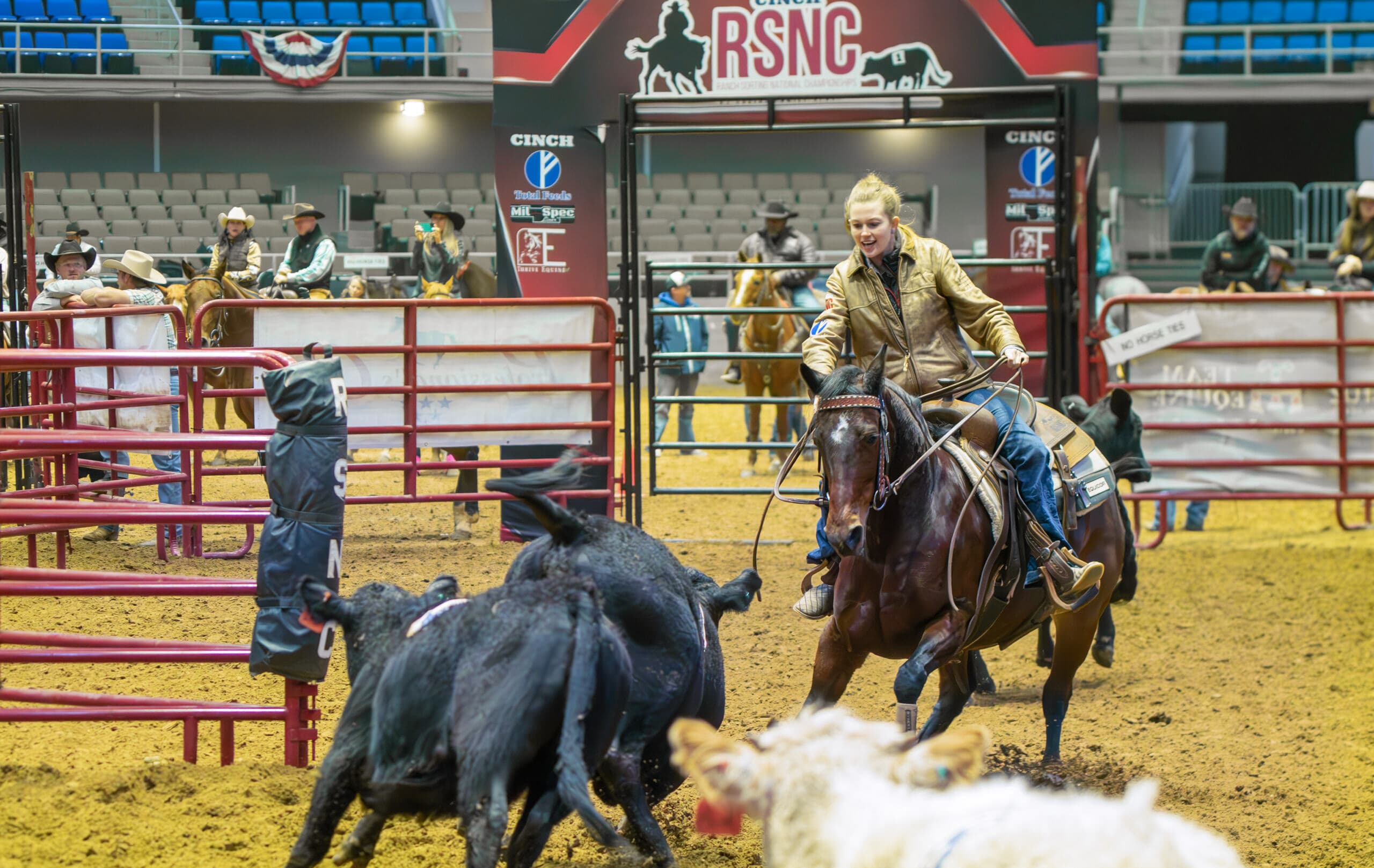 Rider in tan jacket cuts a black cow on a bay horse during a ranch sorting run under the Cinch RSNC arena banner