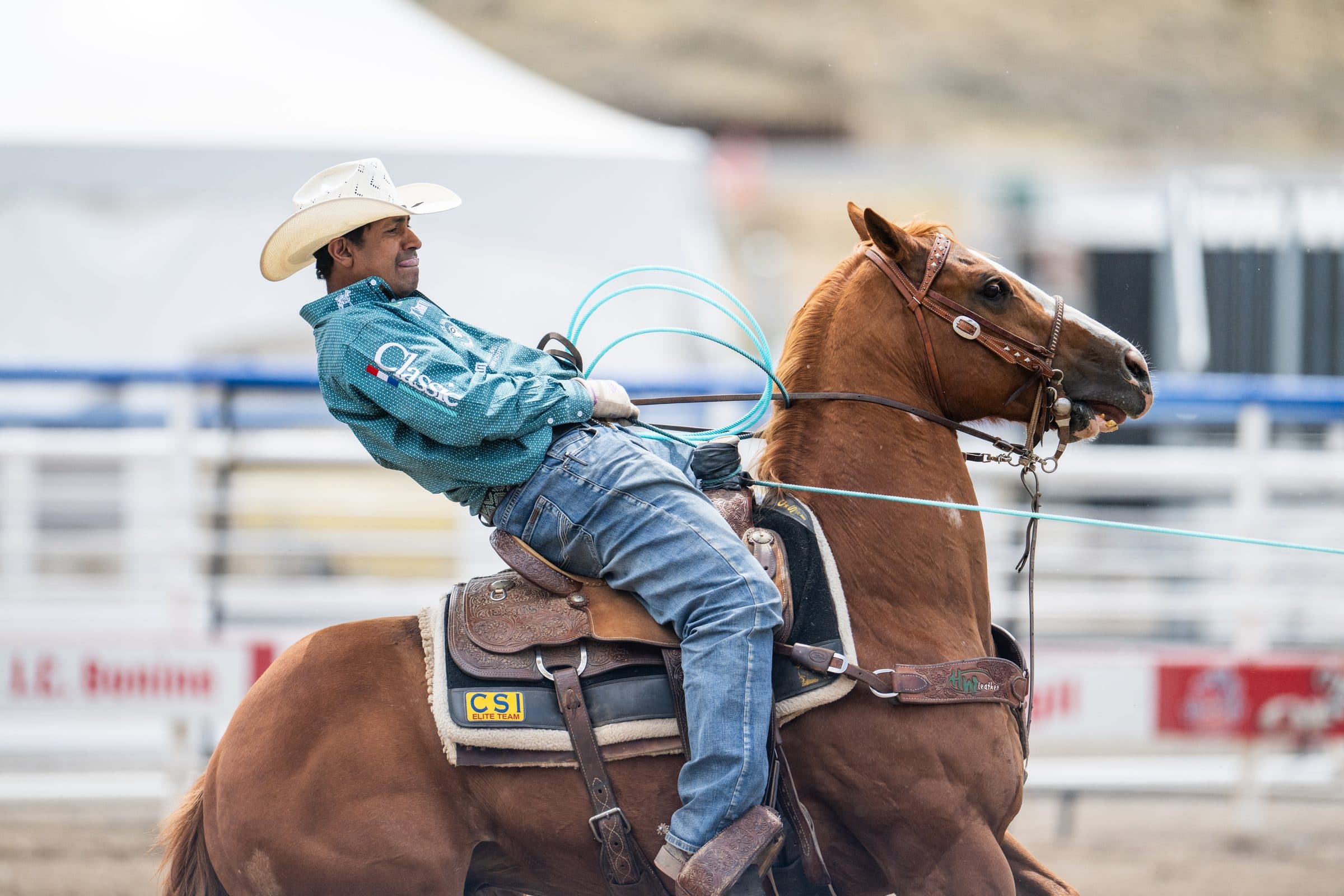 junior nogueira cody wyoming
