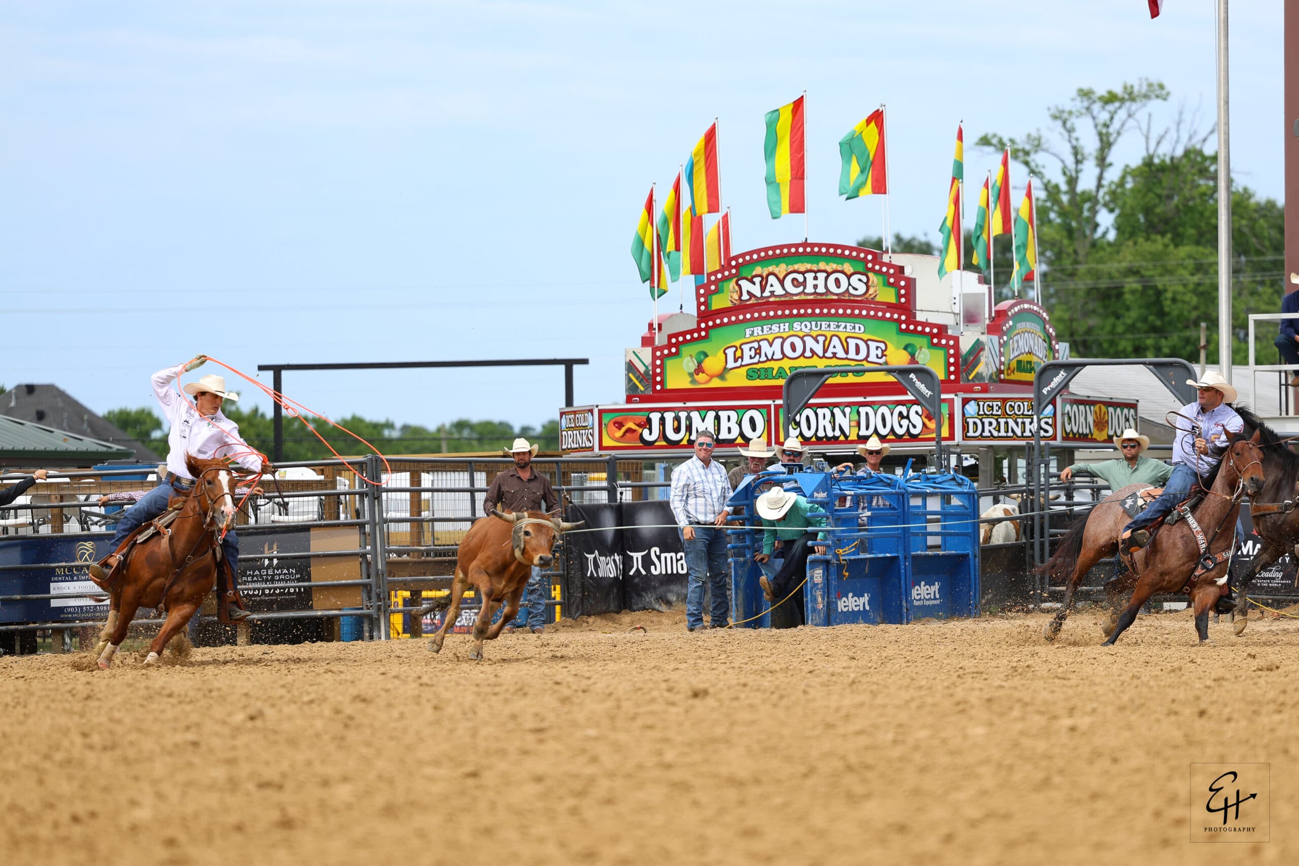 Steer roping competitors on horseback chase a steer across an arena dirt floor with colorful flags and a concession stand in the background at a rodeo