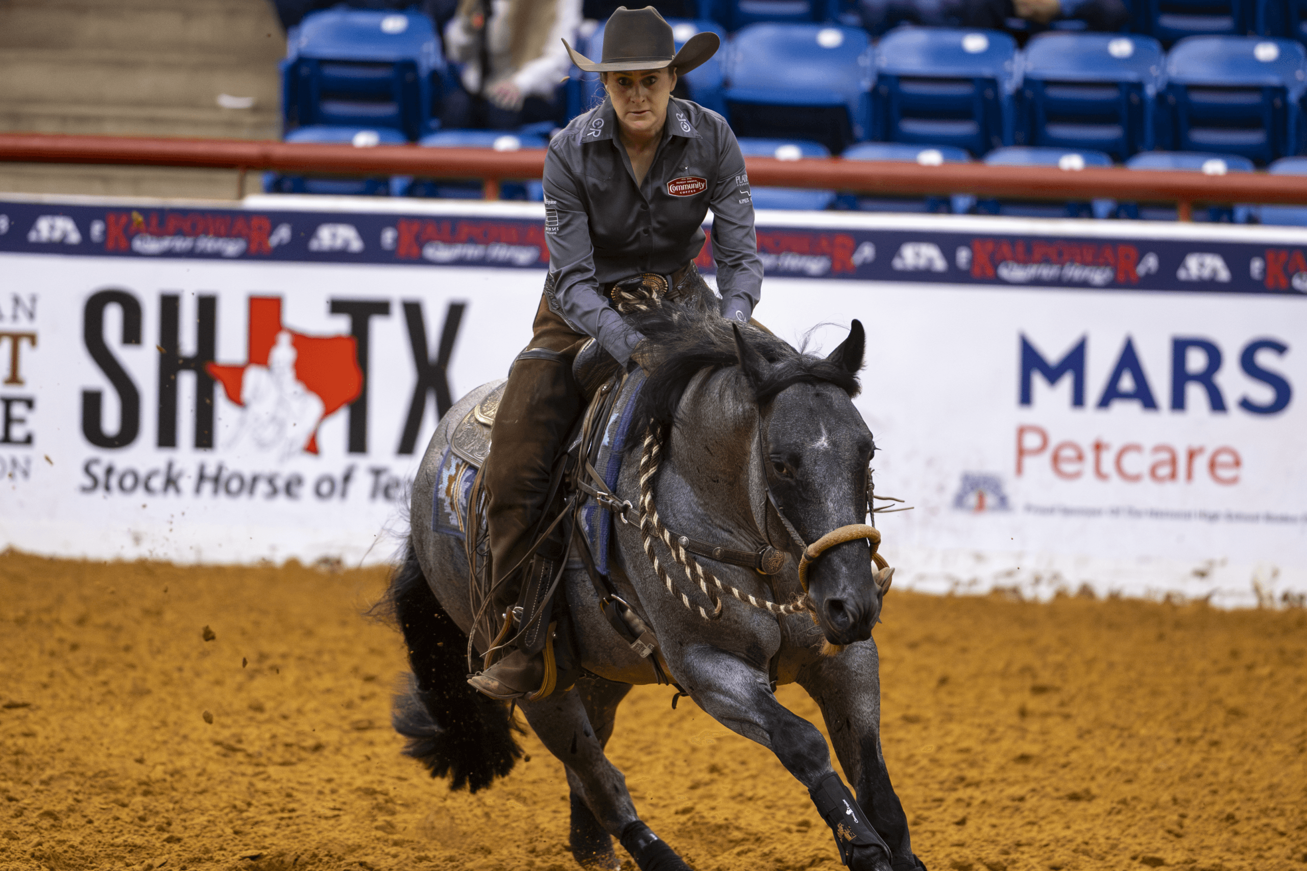 Everything You Need to Know About the 2026 NRCHA Hackamore Classic