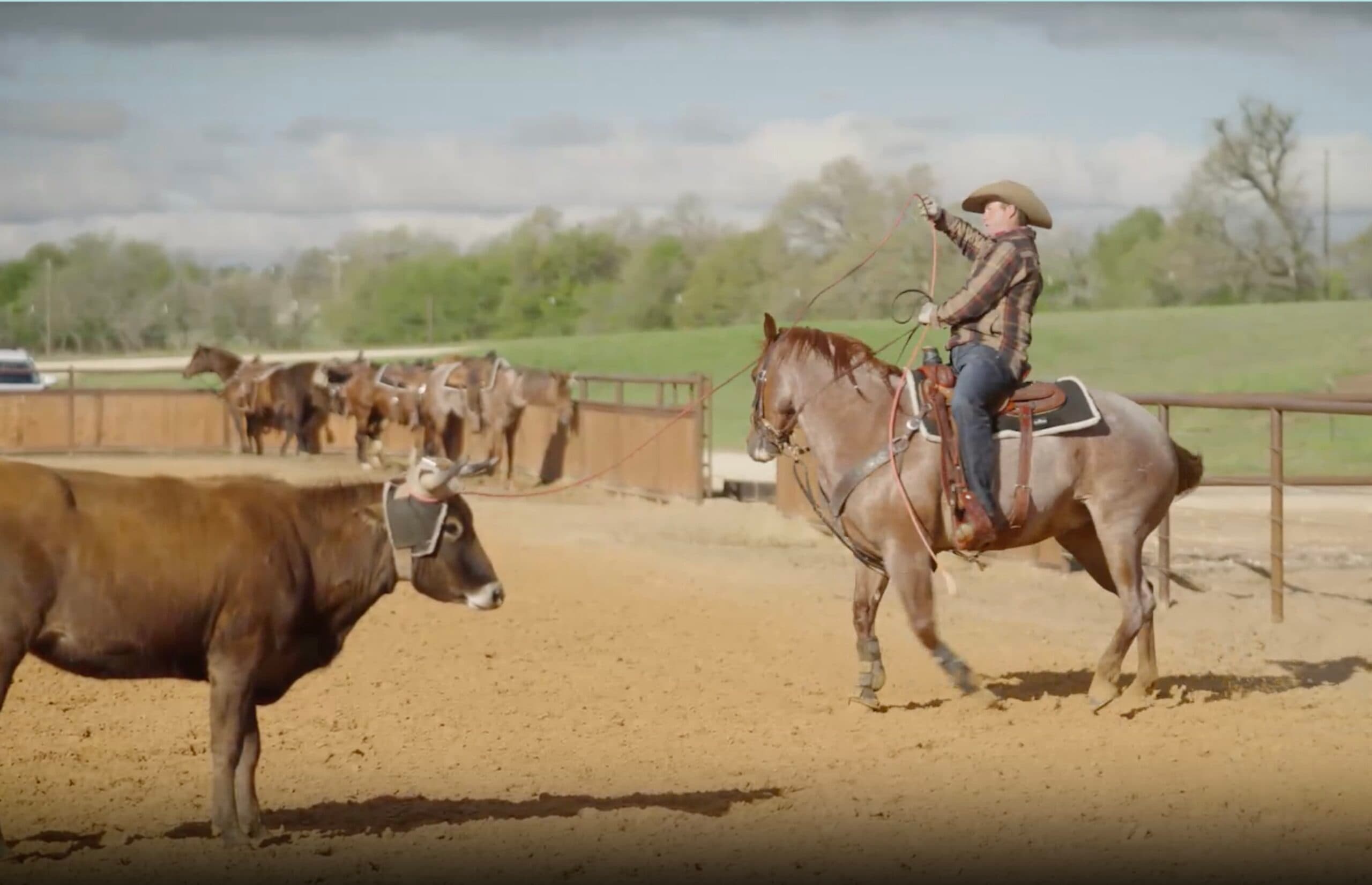 Cowboy in a plaid shirt and straw hat swings a rope from horseback in a dirt arena while facing a brown cow