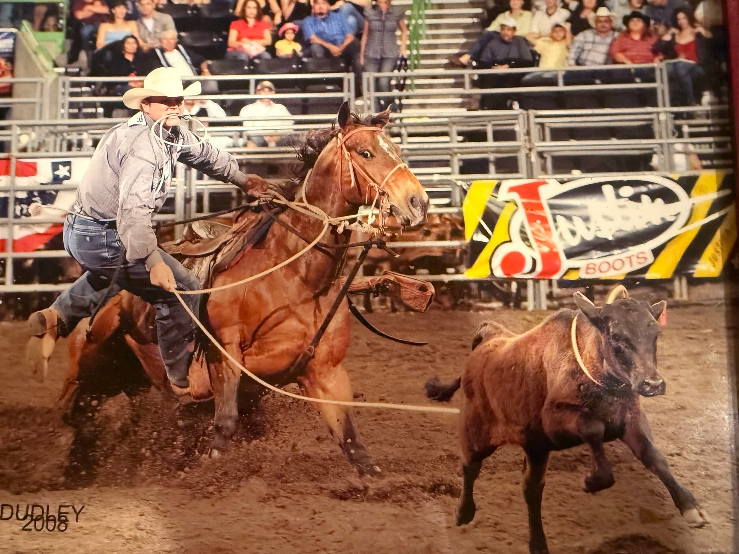 Tie-down roper in a white cowboy hat holds the rope in his teeth as his bay horse slides to a stop behind a roped calf