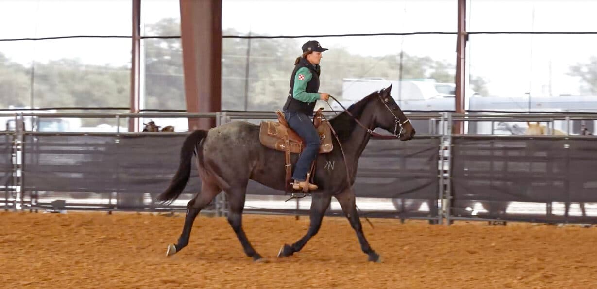 Rider in a ball cap and green shirt jogs a blue roan horse in a Western saddle along the rail of a covered sand arena