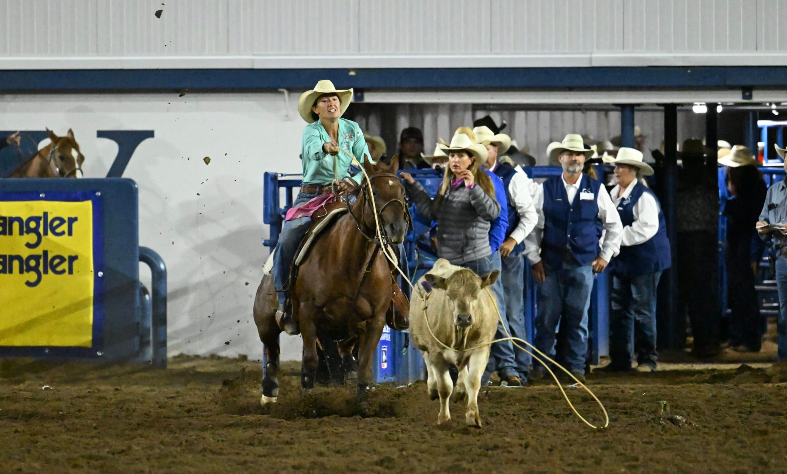 haiden thompson breakaway roper
