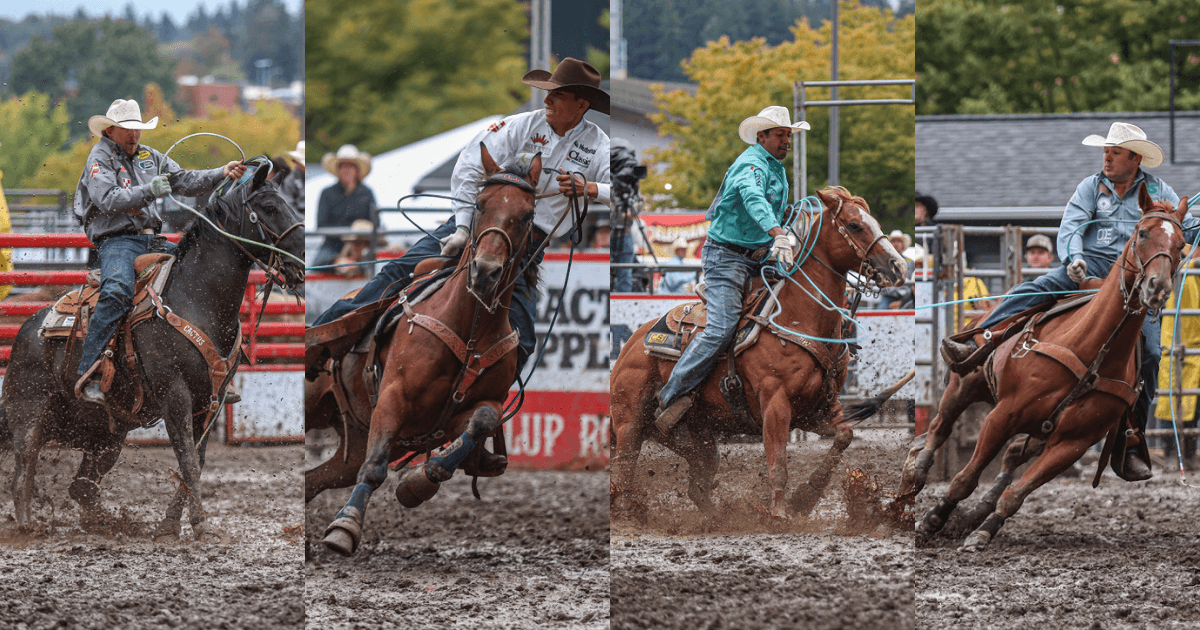 Four rodeo competitors on horseback demonstrate roping events at a professional rodeo, with spectator stands and forested hills visible in the background