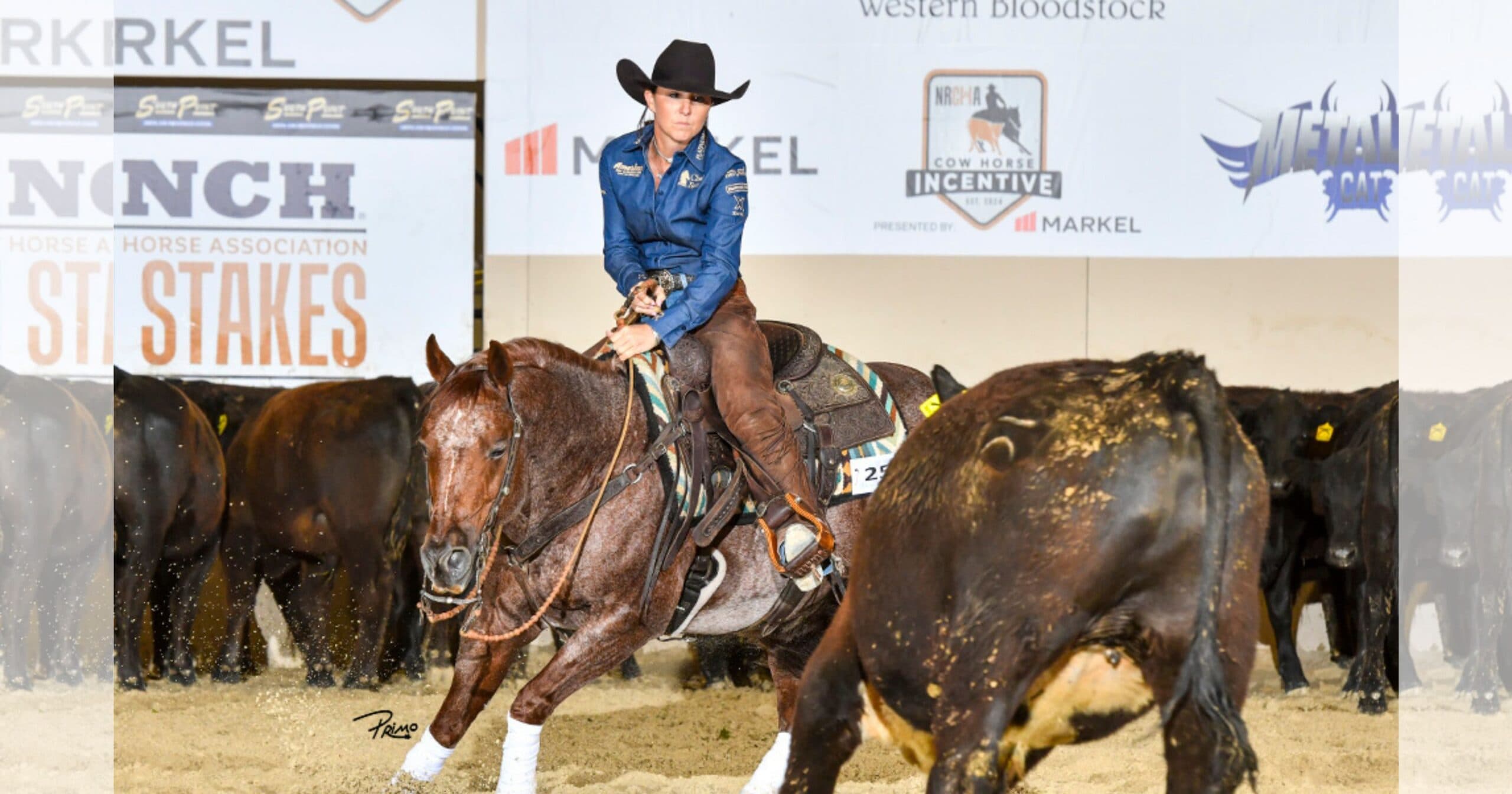 Rider in black cowboy hat and blue shirt cuts a cow from the herd aboard a red roan horse in an indoor arena