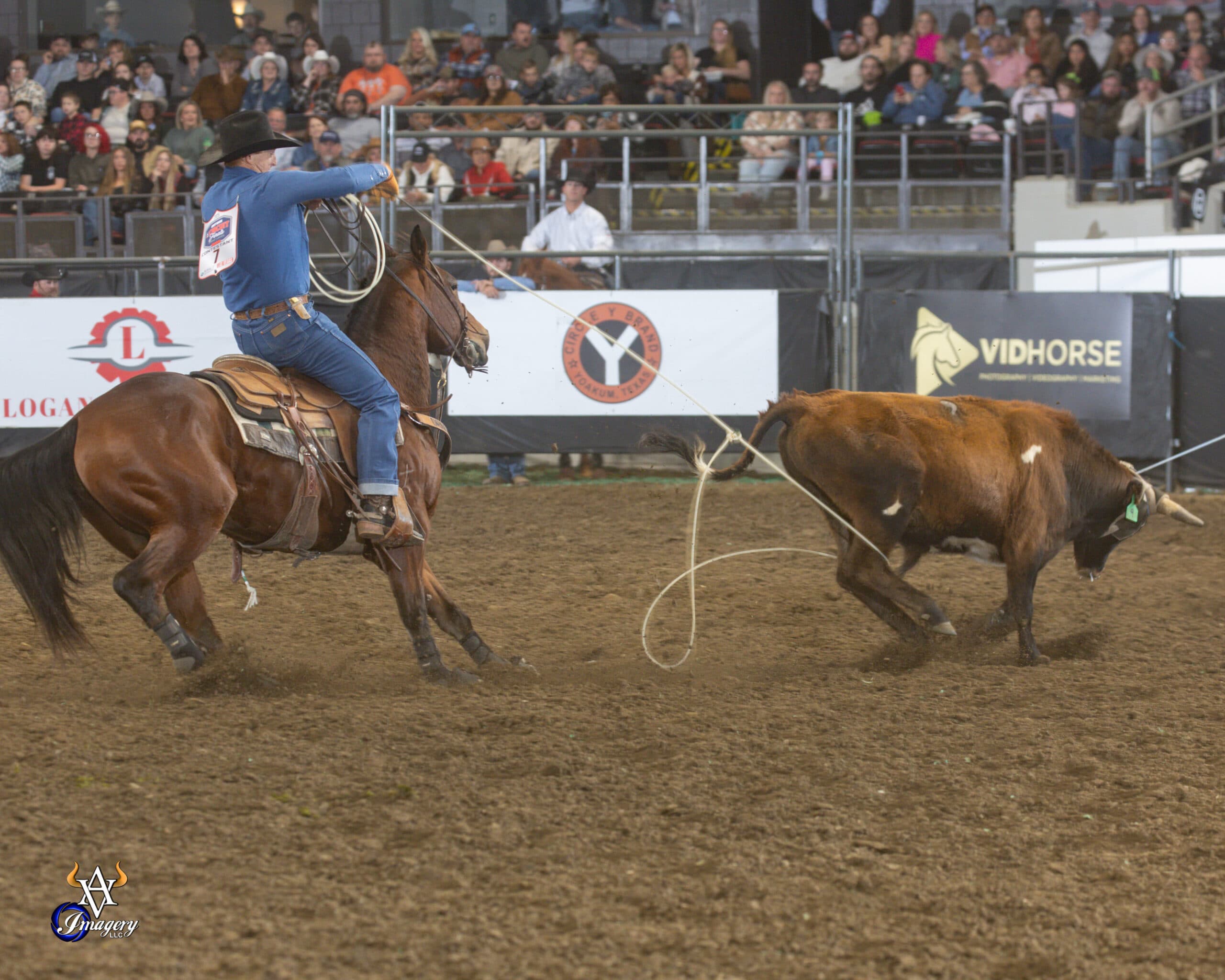 Roper on horseback swings lasso toward steer during rodeo competition in arena with spectators in bleachers