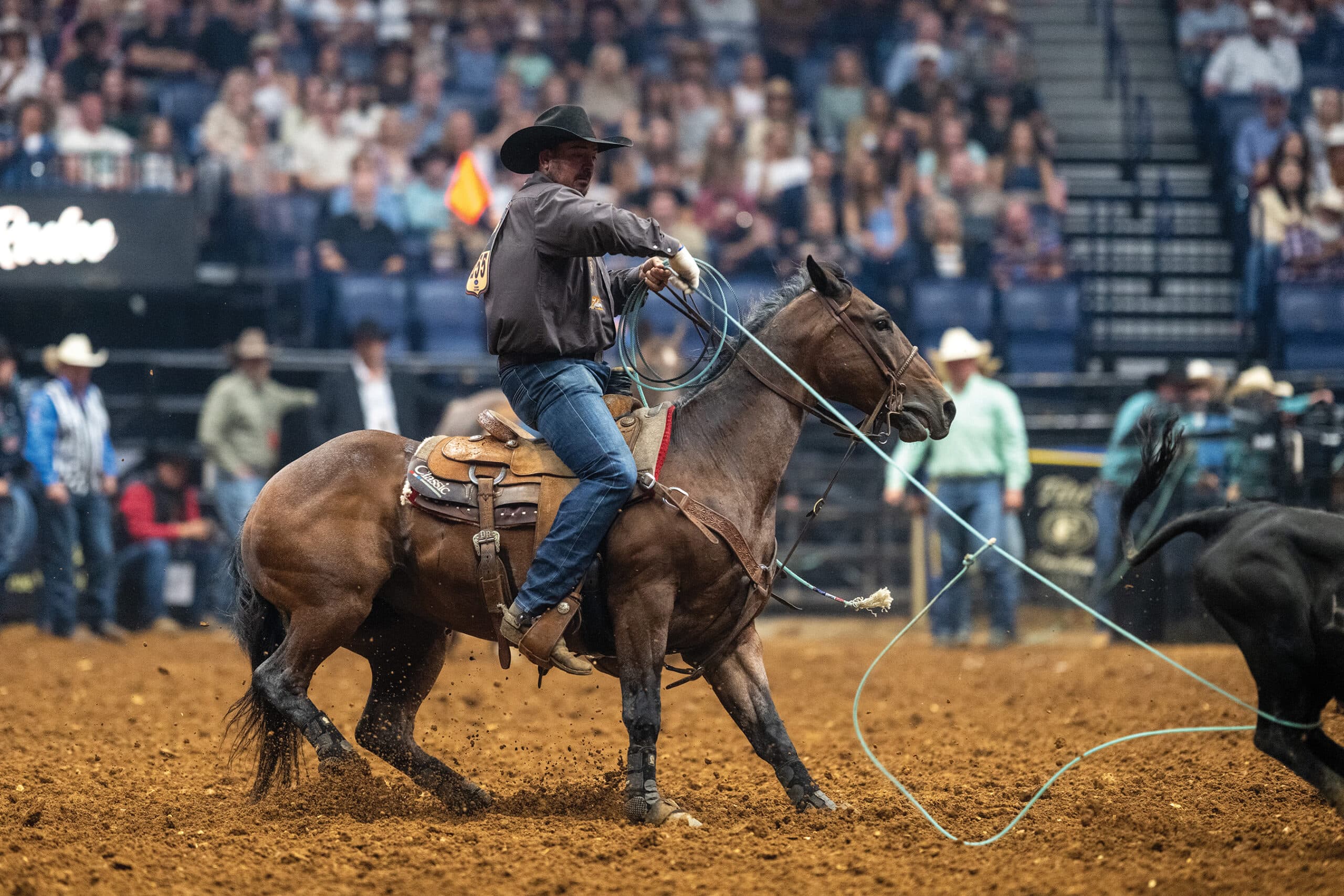 Cowboy in black hat rides a bay horse sliding to a stop as his teal rope trails toward a black steer in the arena