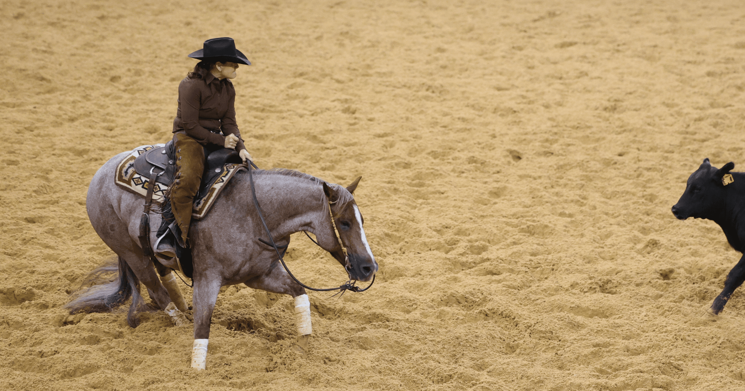 Her Turn: Kathleen Moore Rides Jazlyn to NCHA Summer Spectacular Non Pro Classic Challenge Championship