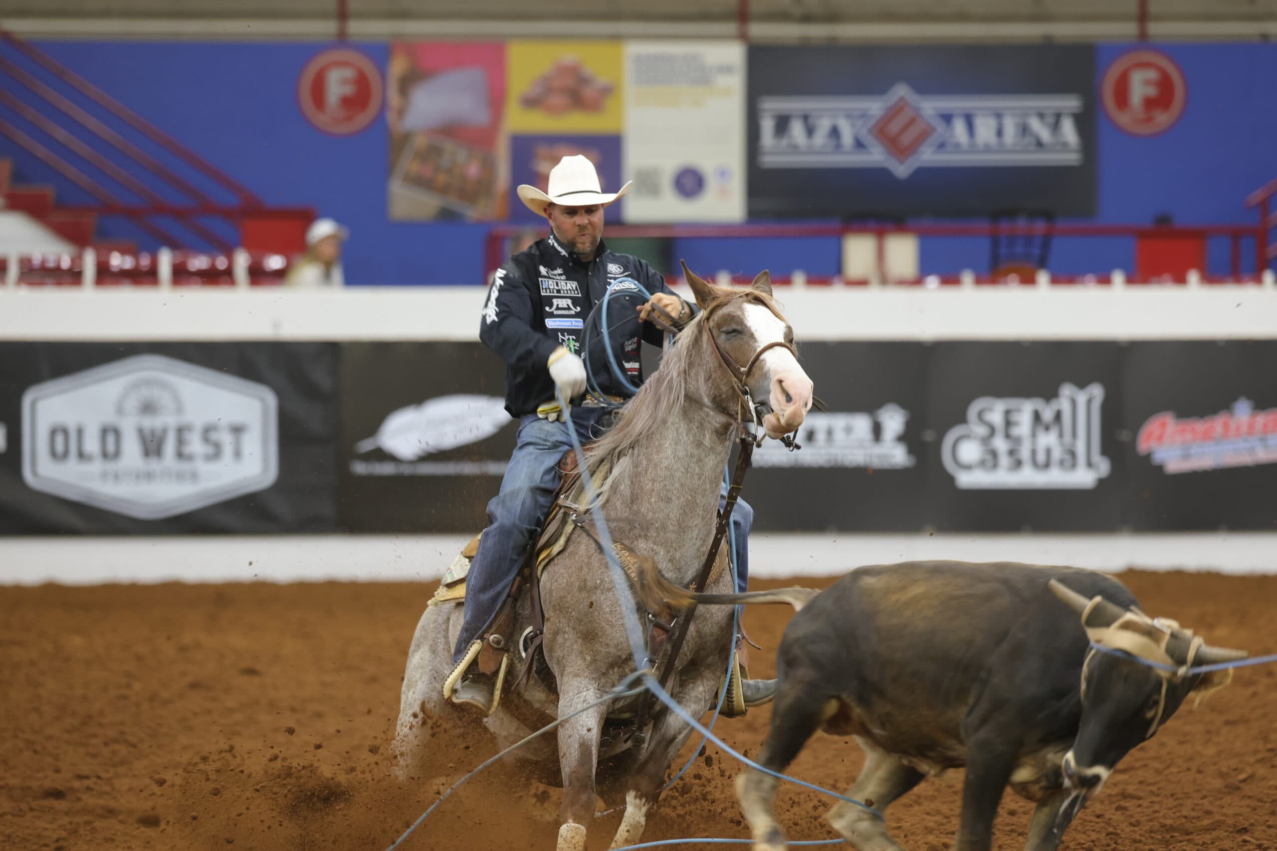 Cowboy in white hat and dark shirt performs team roping on gray horse, rope extended toward black steer in indoor arena with sponsor signage