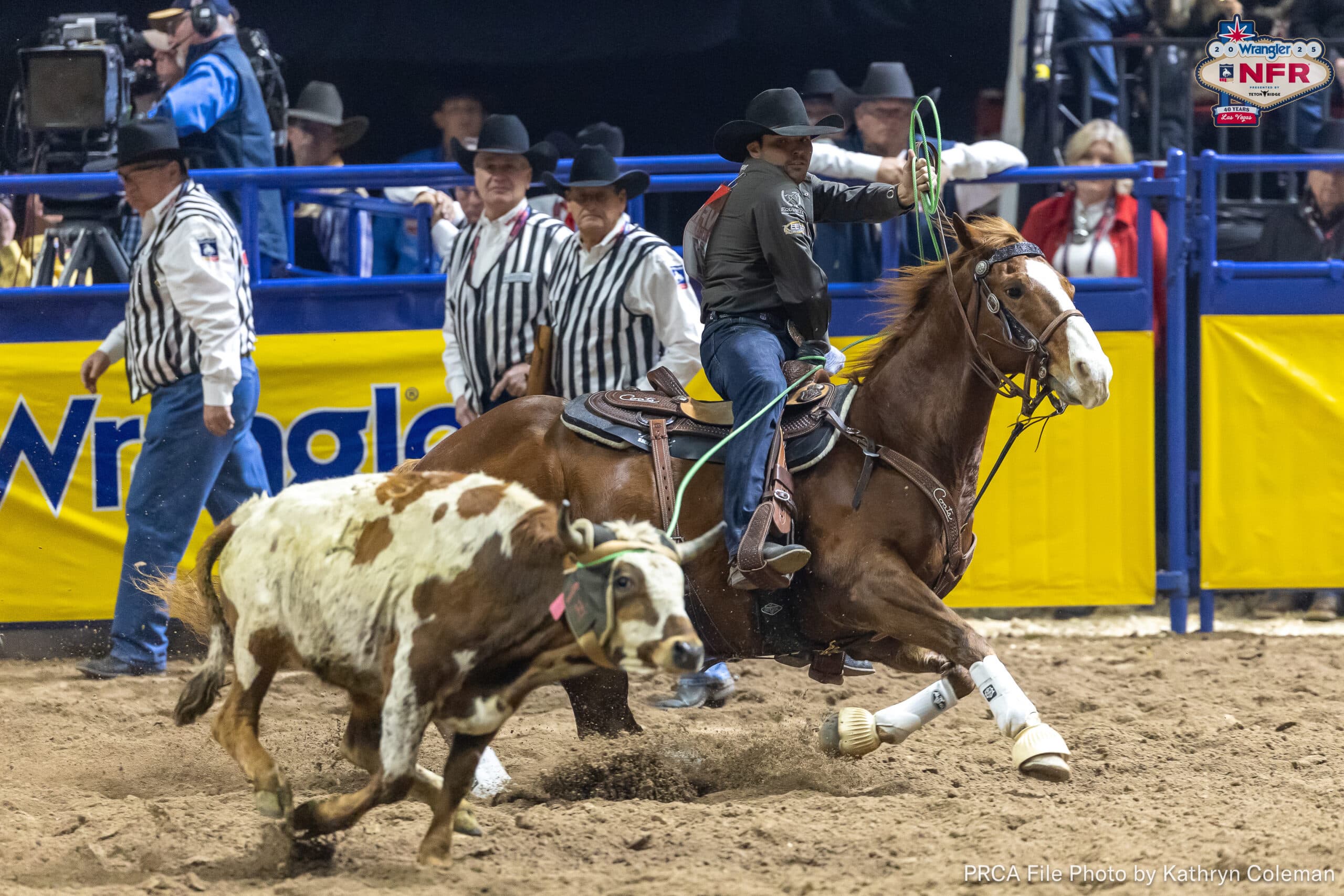Team roping header on a sorrel horse swings his rope as he chases a spotted steer across the arena at the NFR
