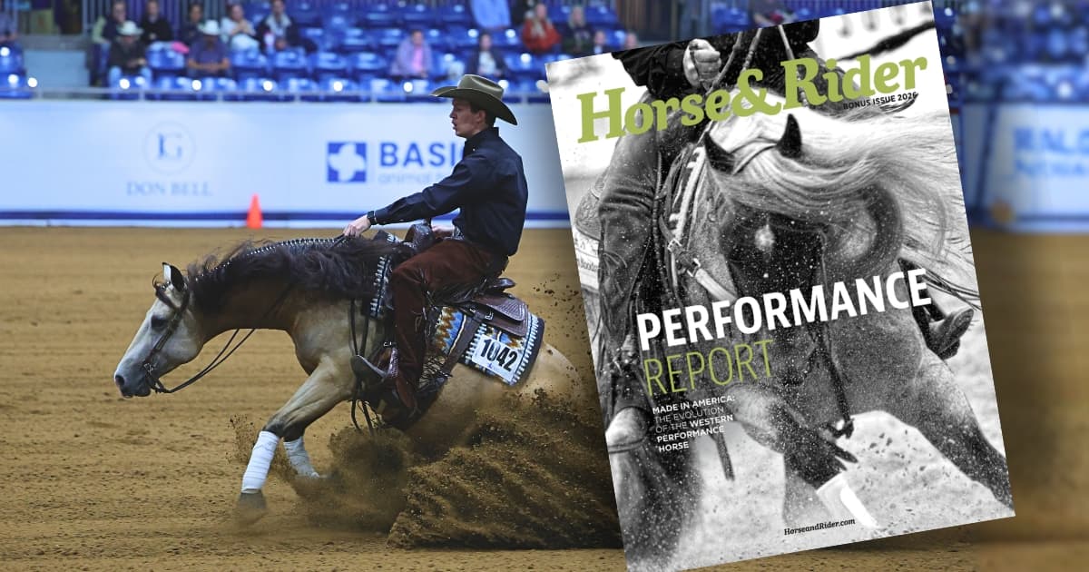 Performance Report Magazine News Horse