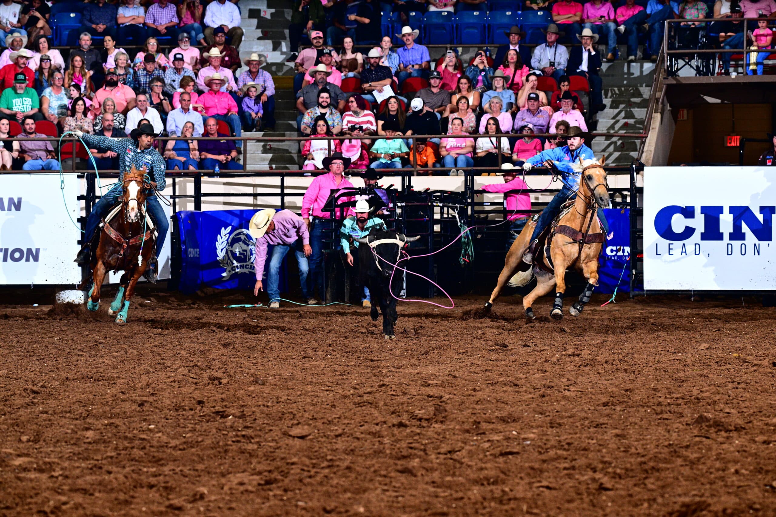 Team ropers on horseback approach cattle during competition at an indoor rodeo arena with spectators in bleachers