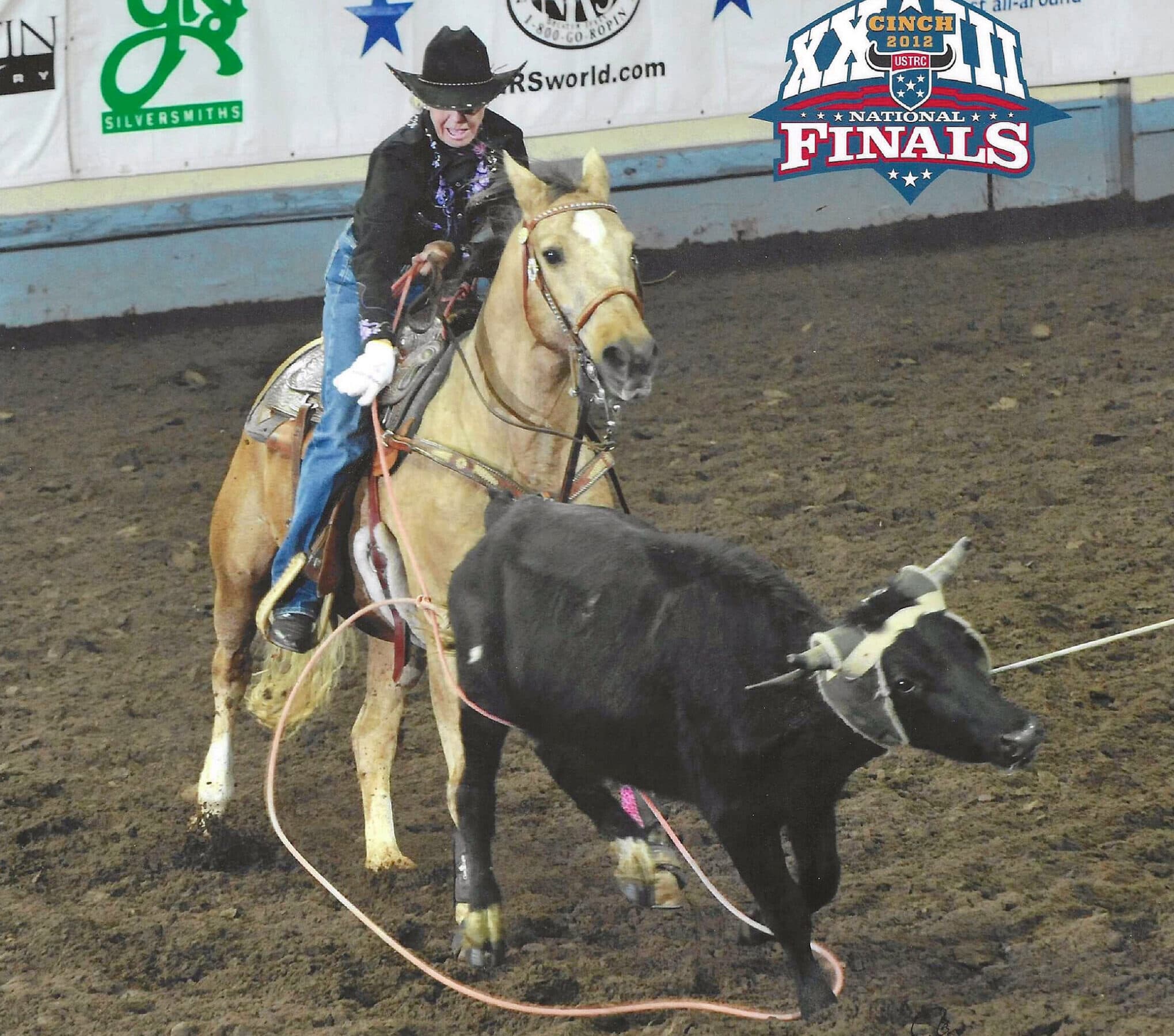Header roper on a palomino horse holds the rope on a roped black steer at the 2012 USTRC National Finals