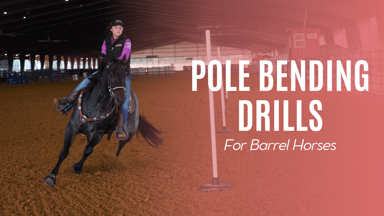 Rider in a purple jacket loping a dark roan horse through pole bending poles in an indoor arena, with text reading "Pole Bending Drills for Barrel Horses"