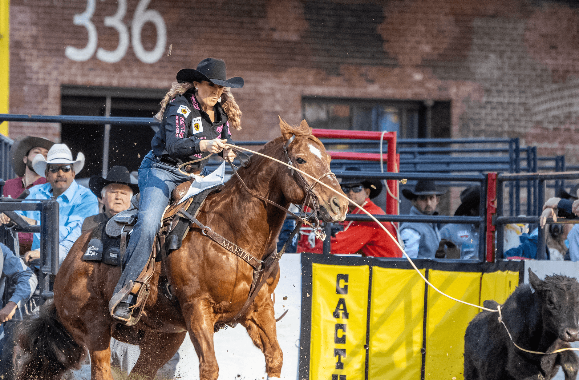 Jackie Crawford's "T-Boy" was a pivotal part of her San Diego Rodeo victory, allowing her to take a few extra swings and catch her rope-off calf cleanly in 2.6 seconds.