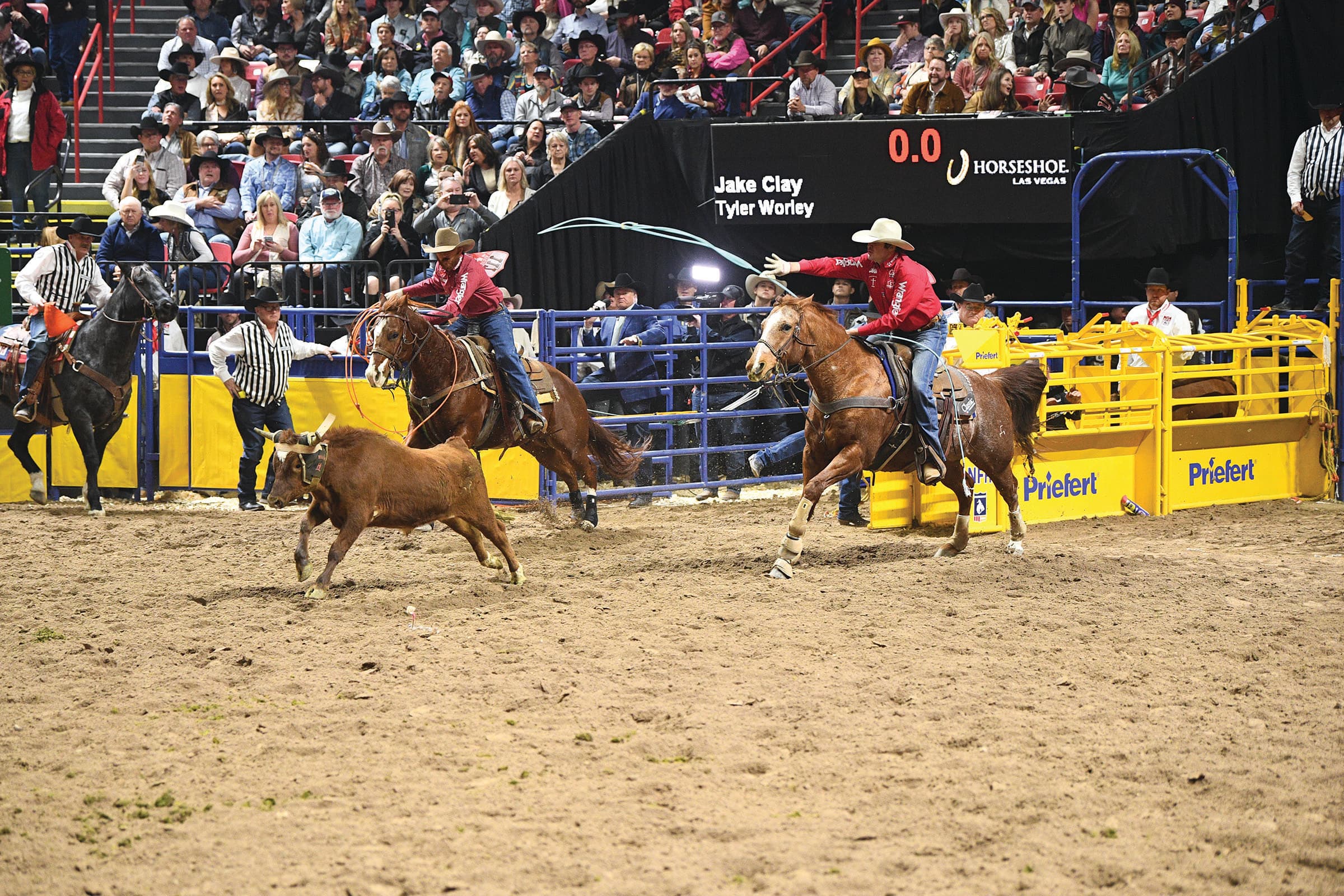 Two team ropers in pink shirts chase a steer across the arena as the heeler swings his rope at the NFR in Las Vegas