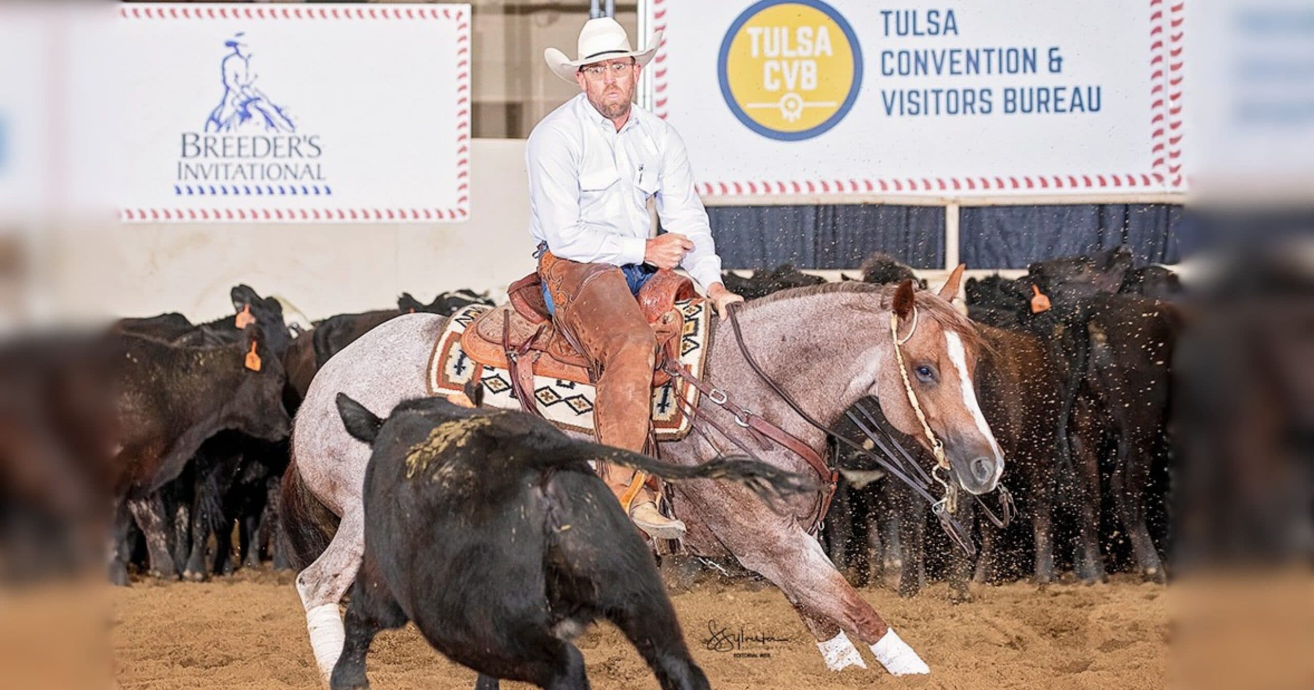 Cutting horse rider in white hat and chaps works a black calf on a red roan in an arena with Breeder's Invitational signage