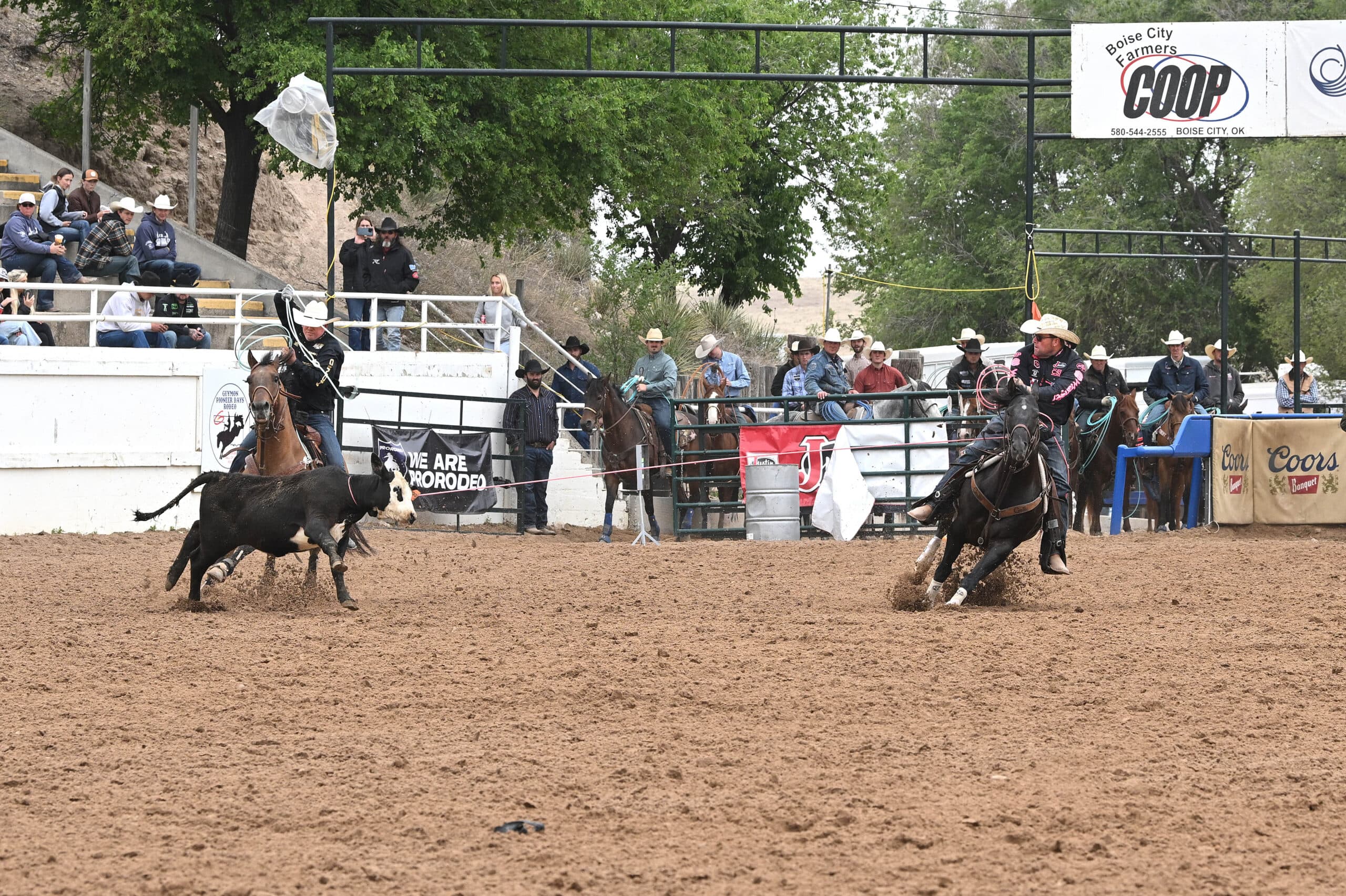 Team ropers stretch a steer between them in a dirt arena as spectators and mounted cowboys watch from the fence