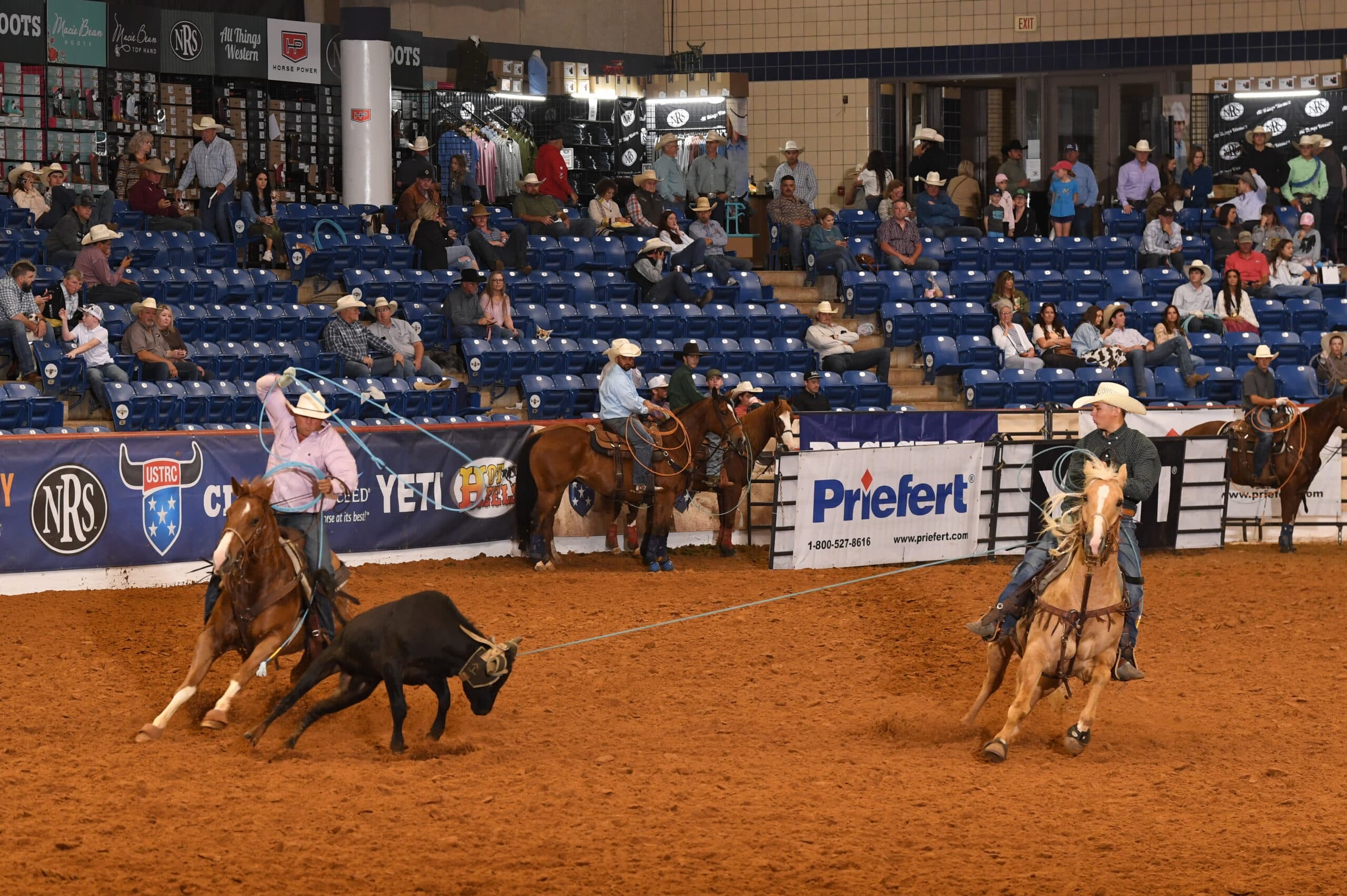 Two ropers on horseback work a black steer during team roping competition at an indoor rodeo arena with spectators in bleachers