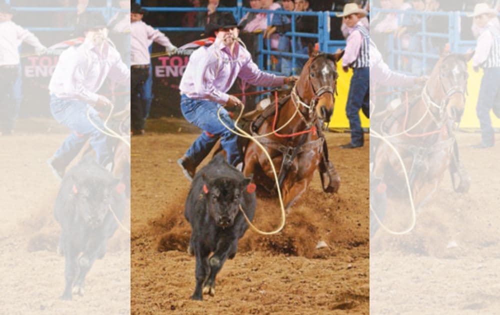Scott Kormos dismounts Maass' Flip at the Wrangler National Finals Rodeo