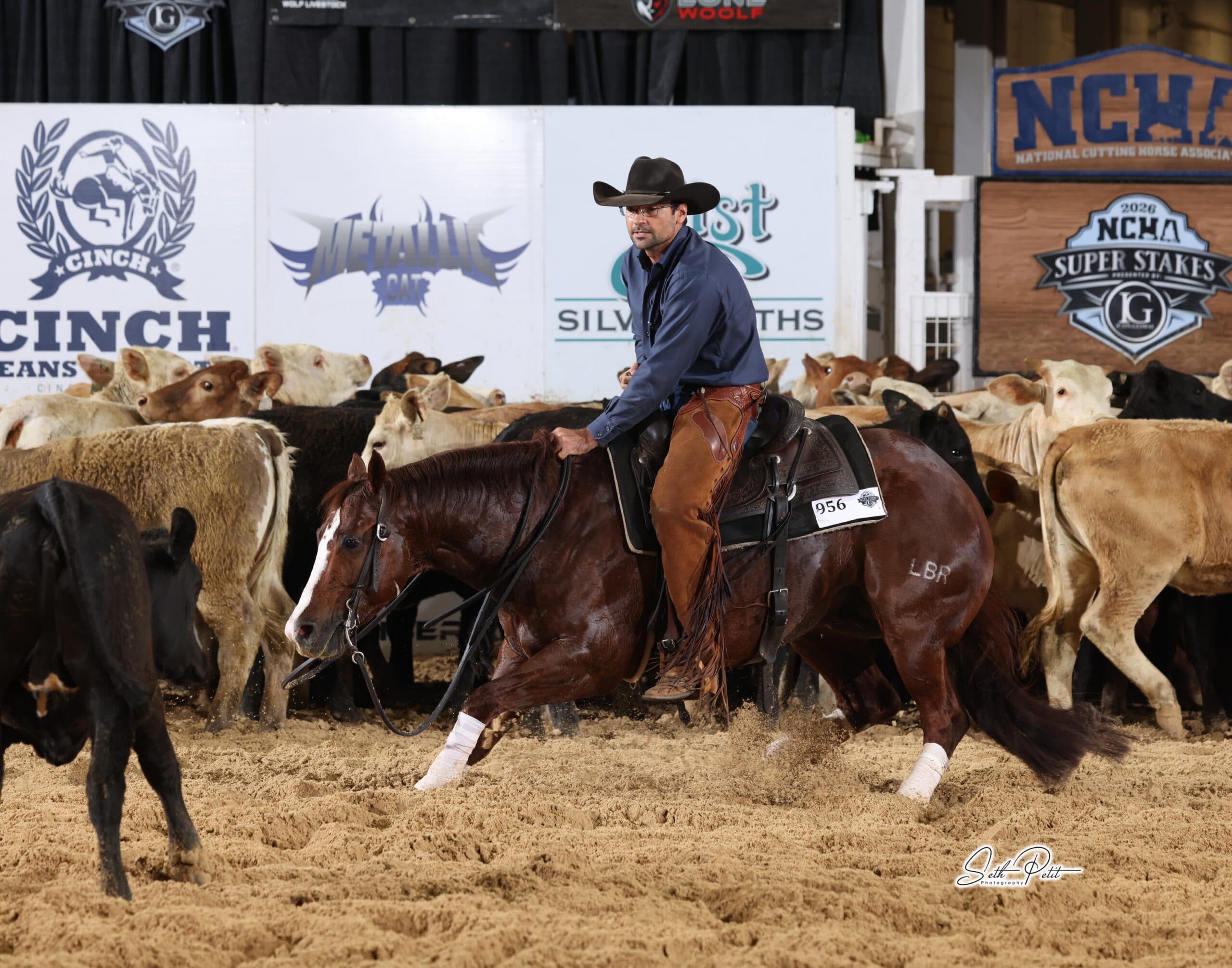 Cutting horse rider in black cowboy hat and chaps works a sorrel horse away from the cattle herd at an NCHA Super Stakes arena