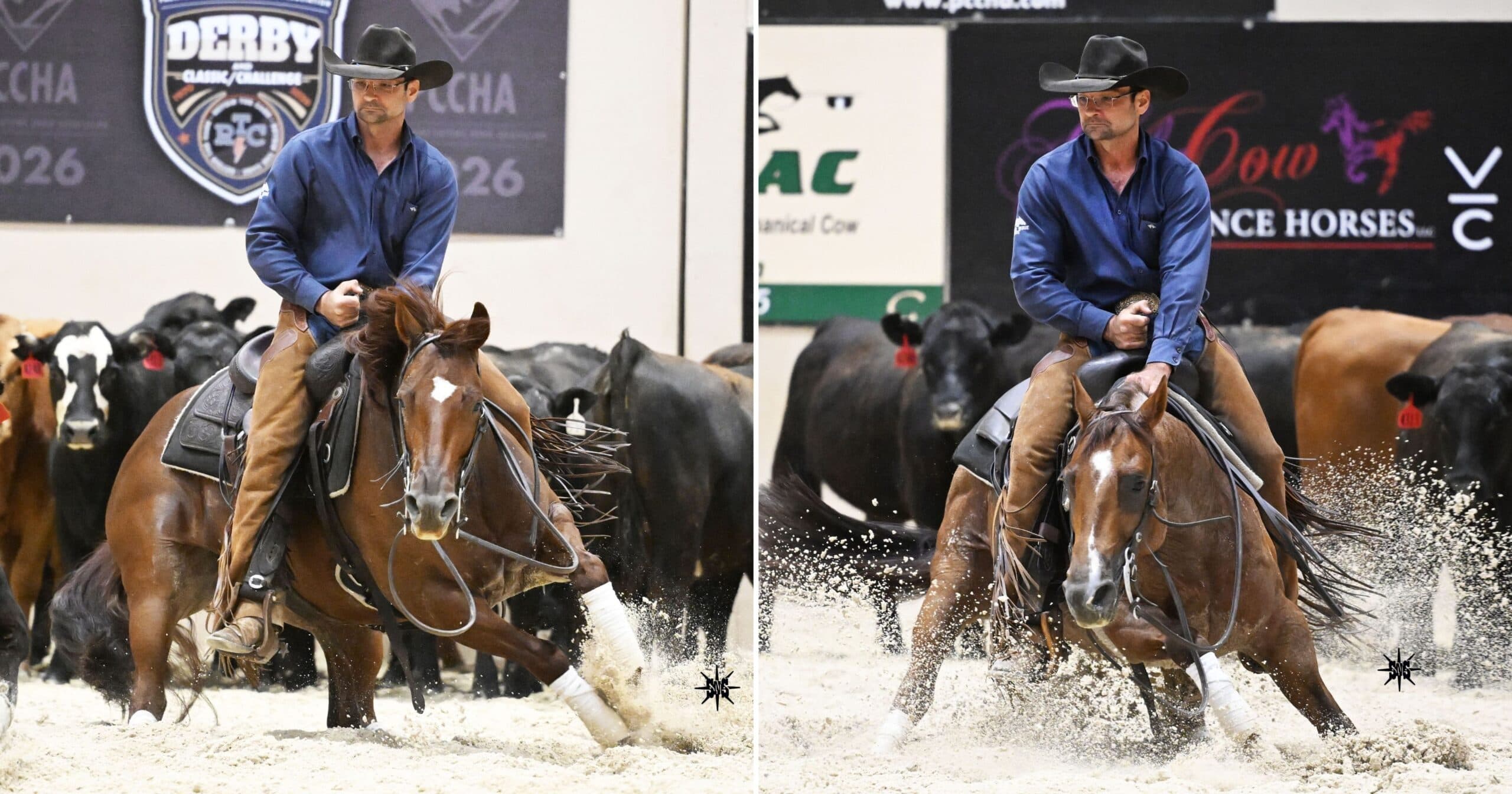 Side-by-side shots of a cowboy in a black hat and blue shirt working a sorrel cutting horse in front of cattle