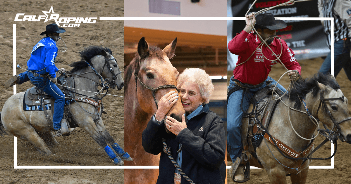 Three-panel collage with the CalfRoping.com logo showing tie-down ropers riding buckskin horses and a woman hugging a horse's head