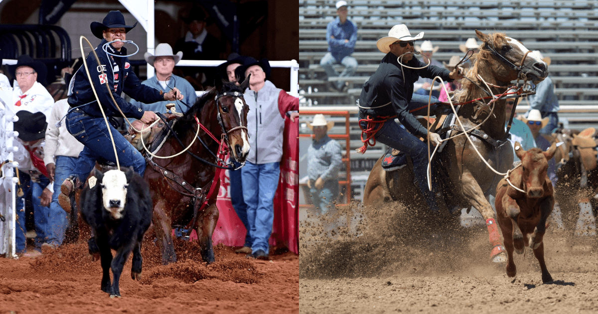 Side-by-side rodeo action shots of two tie-down ropers chasing calves on horseback, ropes swinging, dirt flying