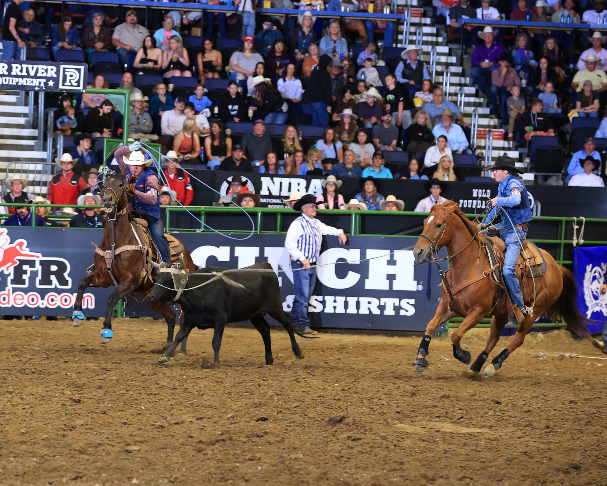Two ropers on horseback work a steer during a team roping event at a professional rodeo arena with spectators in the stands