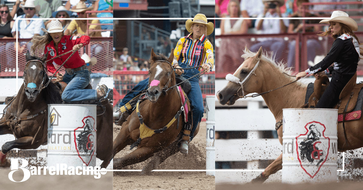 Horses at Cheyenne Frontier Days