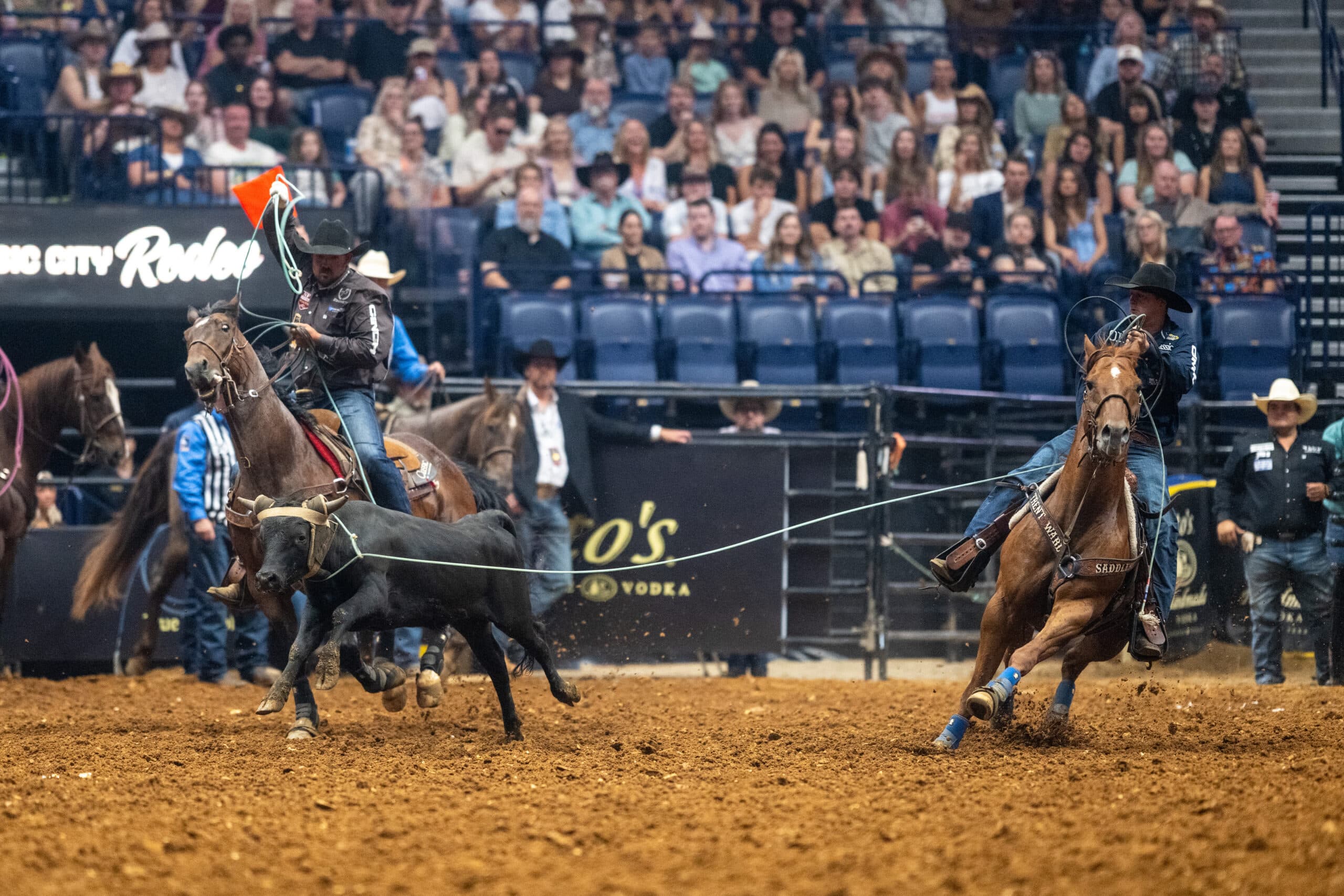 Two ropers on horses execute a team roping run in a professional rodeo arena with spectators in the stands behind them