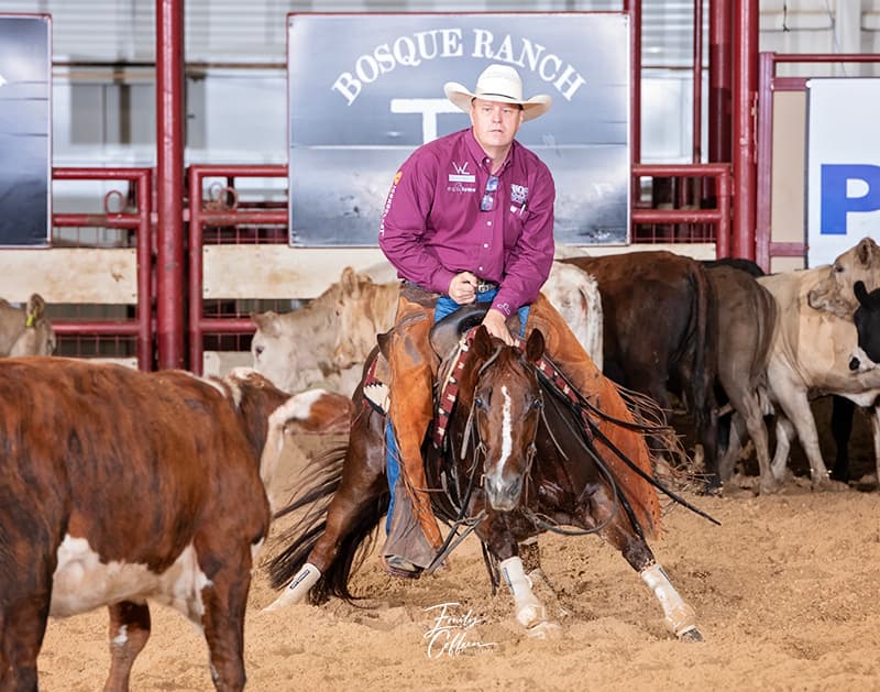 NCHA Horses of the Year: Rollz Eh, Red Lights and Boomereyious Top the Charts