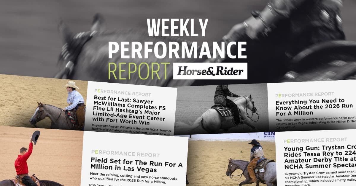 Weekly Performance Report graphic from Horse&Rider with tilted headline cards over photos of cutting and reining riders