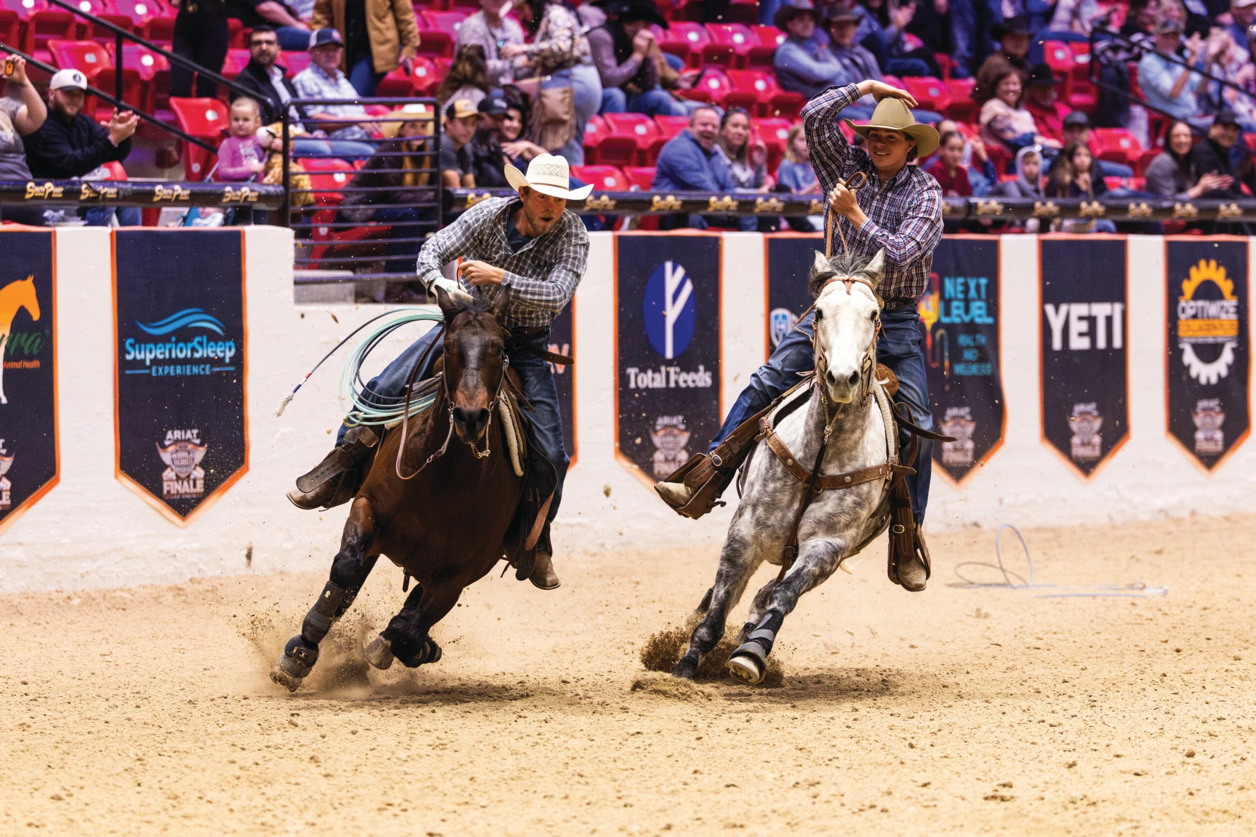 Two ropers on horseback chase a steer across an arena dirt floor during a team roping event at an indoor rodeo