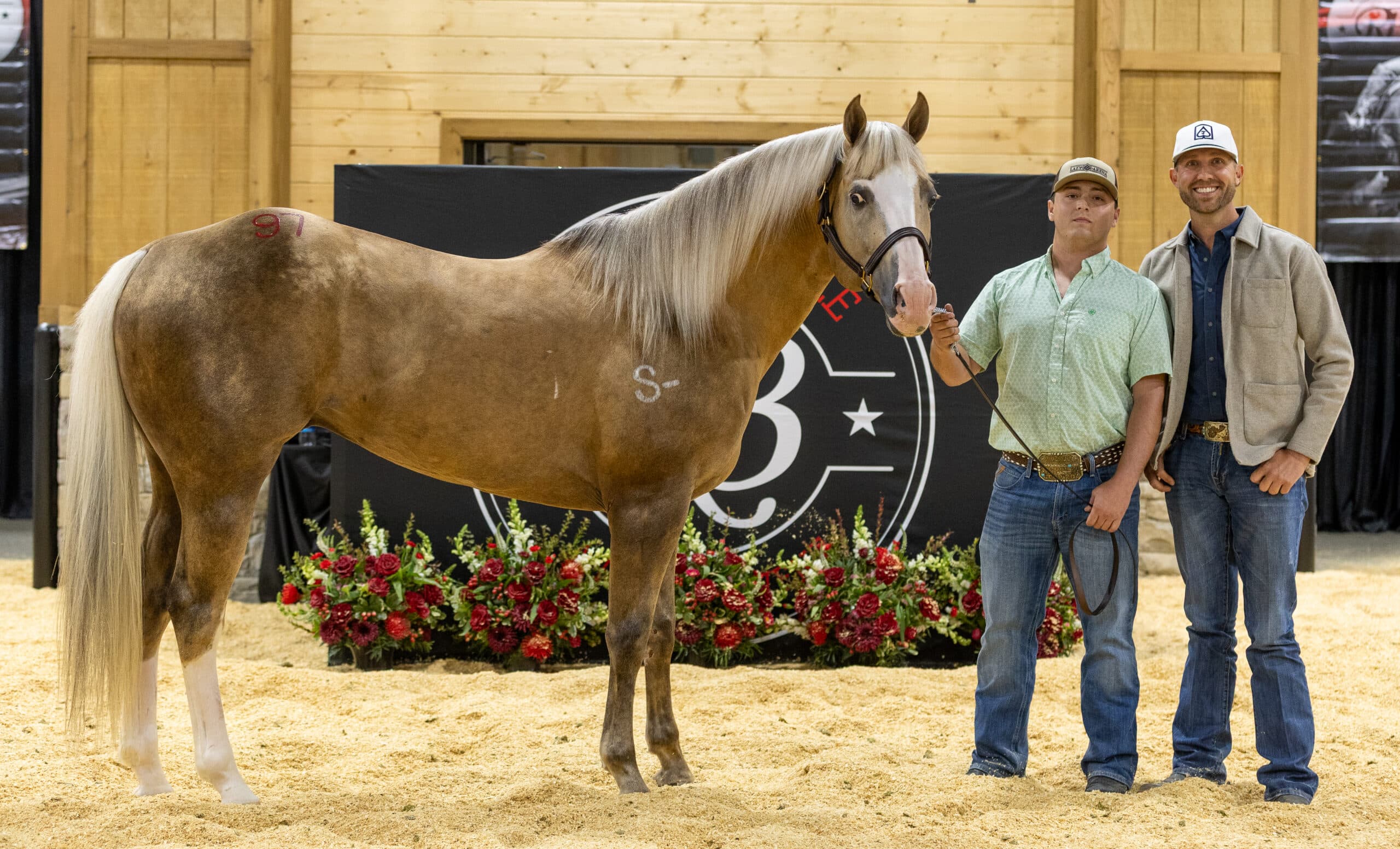 Josh andrews and another man stand with stallion BPHtheskyisthelimit