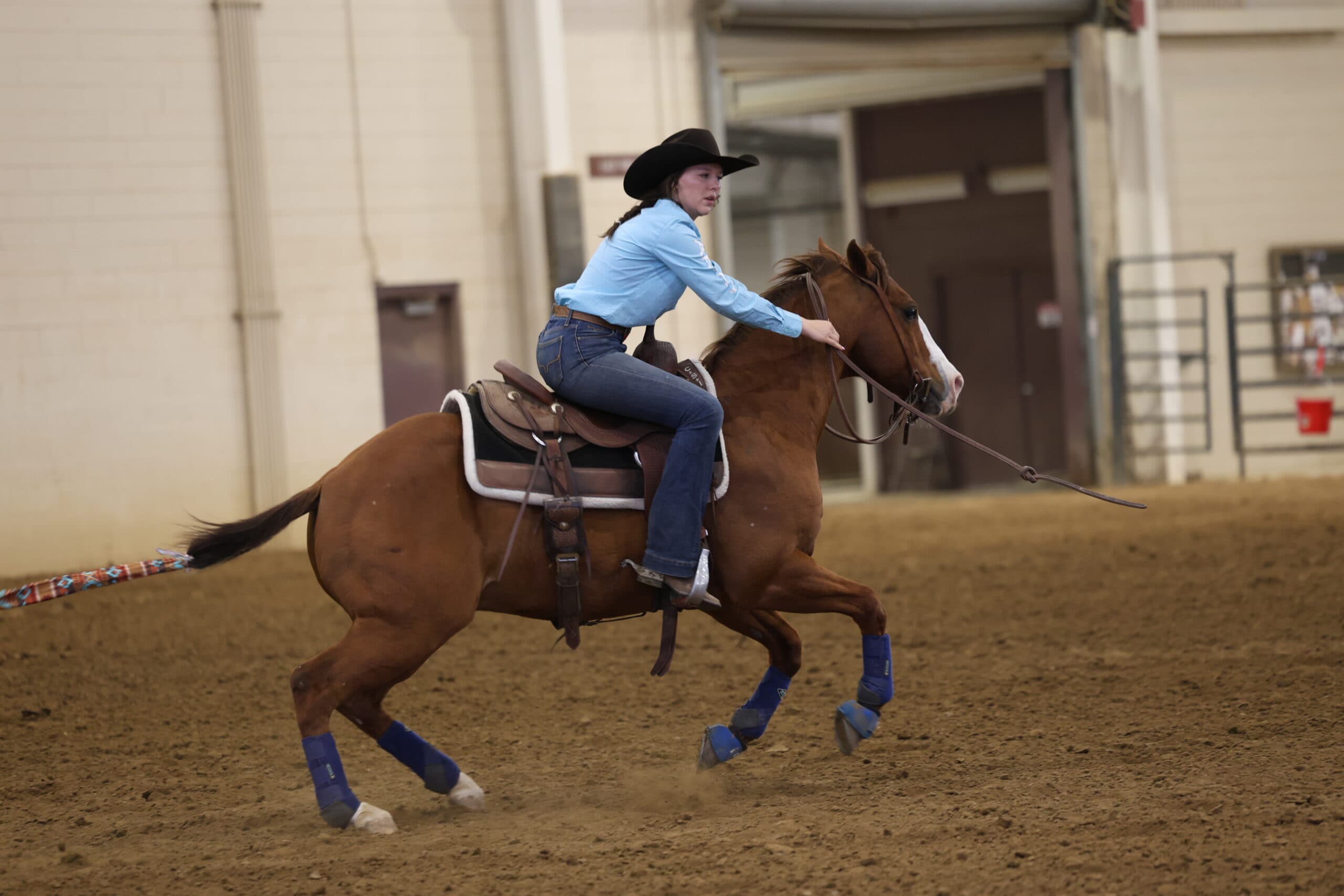 Barrel racer in a light blue shirt and black cowboy hat gallops her sorrel horse in blue splint boots across an indoor arena