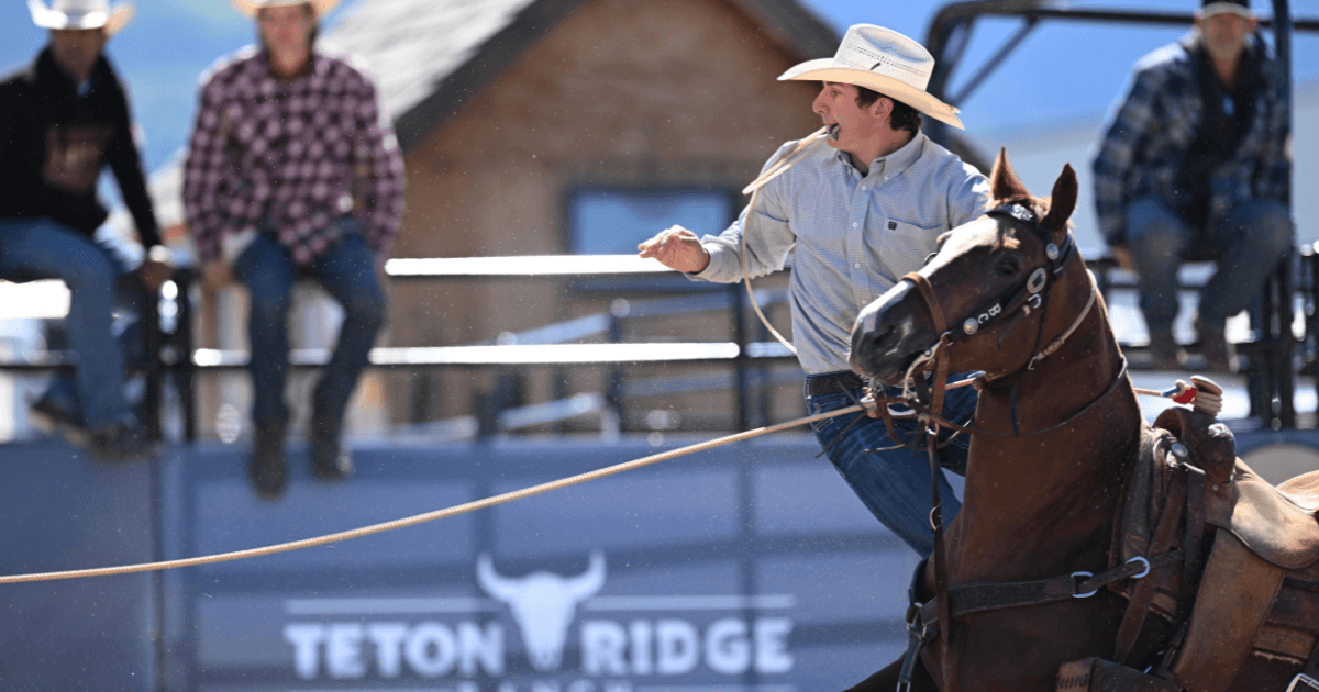 One Month Left: The State of Calf Roping’s 2026 Rookie Standings