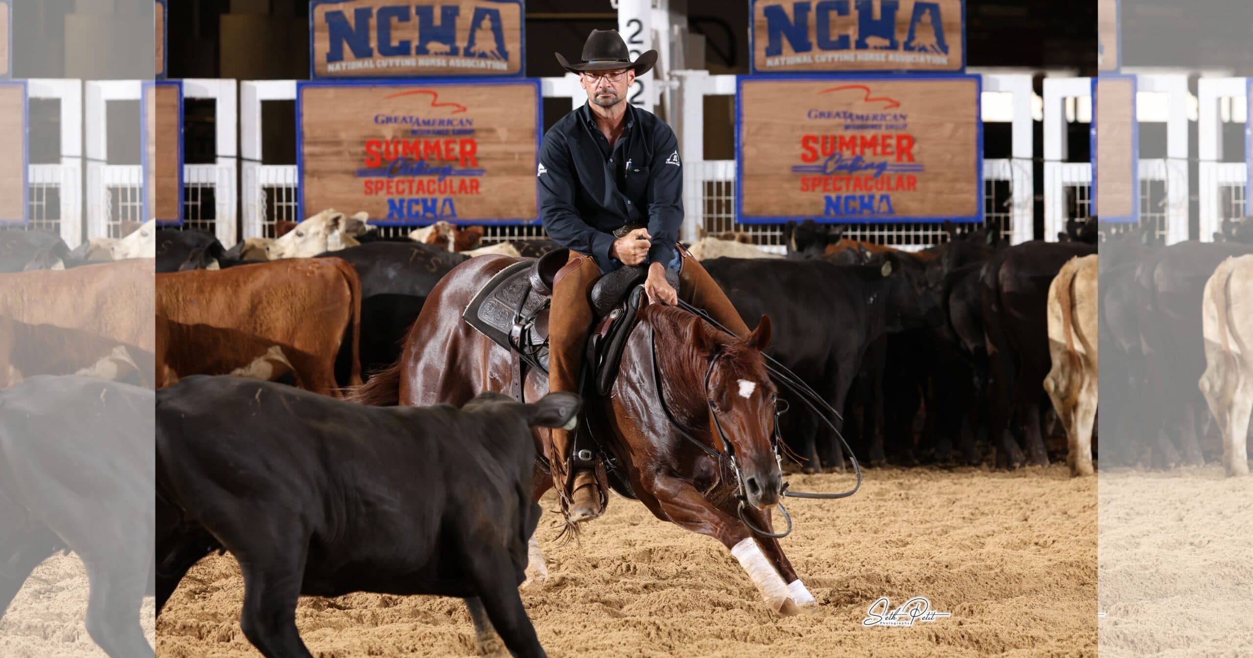 Cutting horse rider in black hat and chaps works a black calf away from the herd at an NCHA Summer Cutting Spectacular