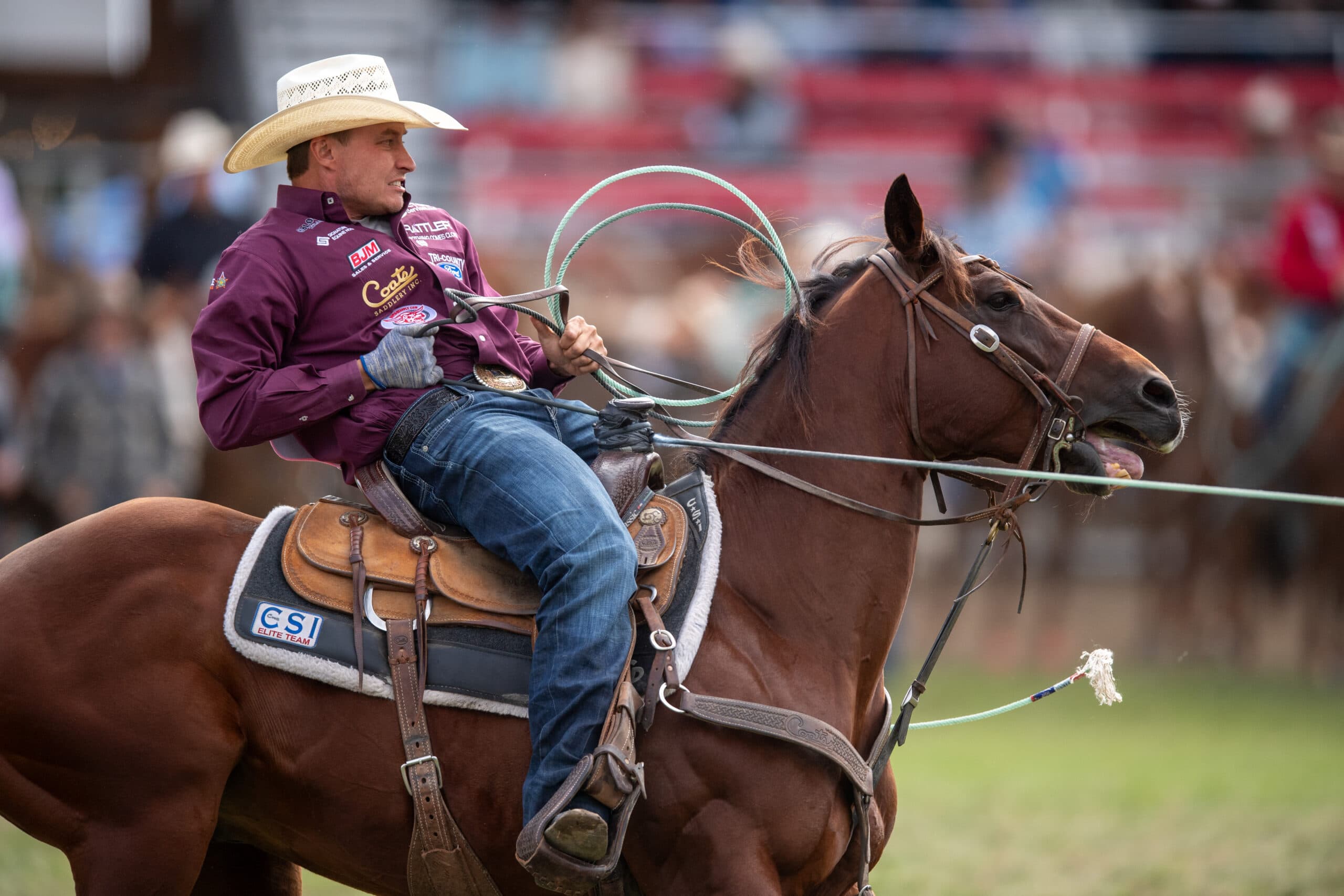 Coleby Payne Pendleton Round-Up