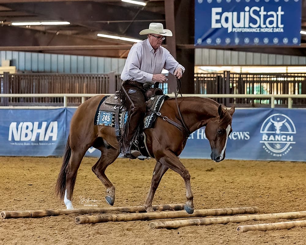 Rider in a white cowboy hat and chaps guides a sorrel horse over ground poles in a ranch riding class