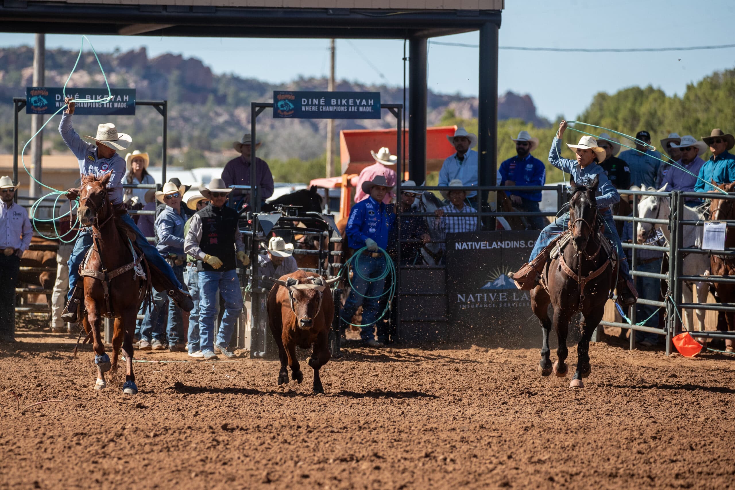 Two ropers on horseback swing lassos during a team roping event at Diné Bikeyah rodeo, with spectators and judges visible in the stands