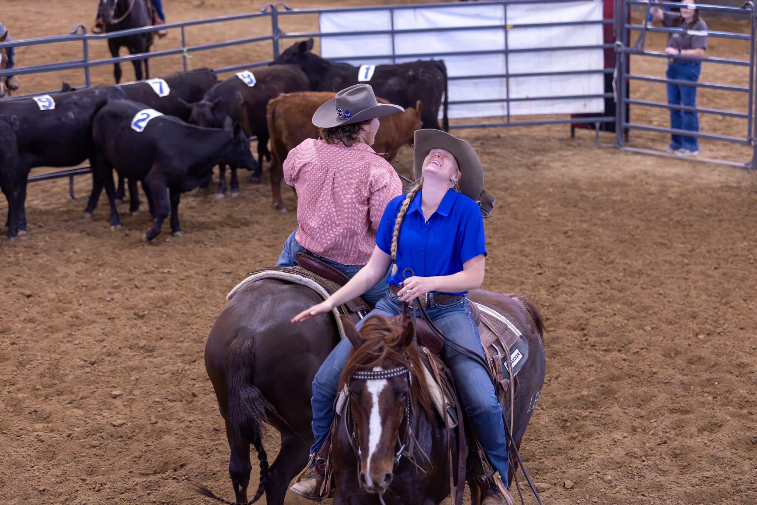 Two mounted riders in cowboy hats laugh together in a dirt arena as numbered cattle stand behind the pen panels