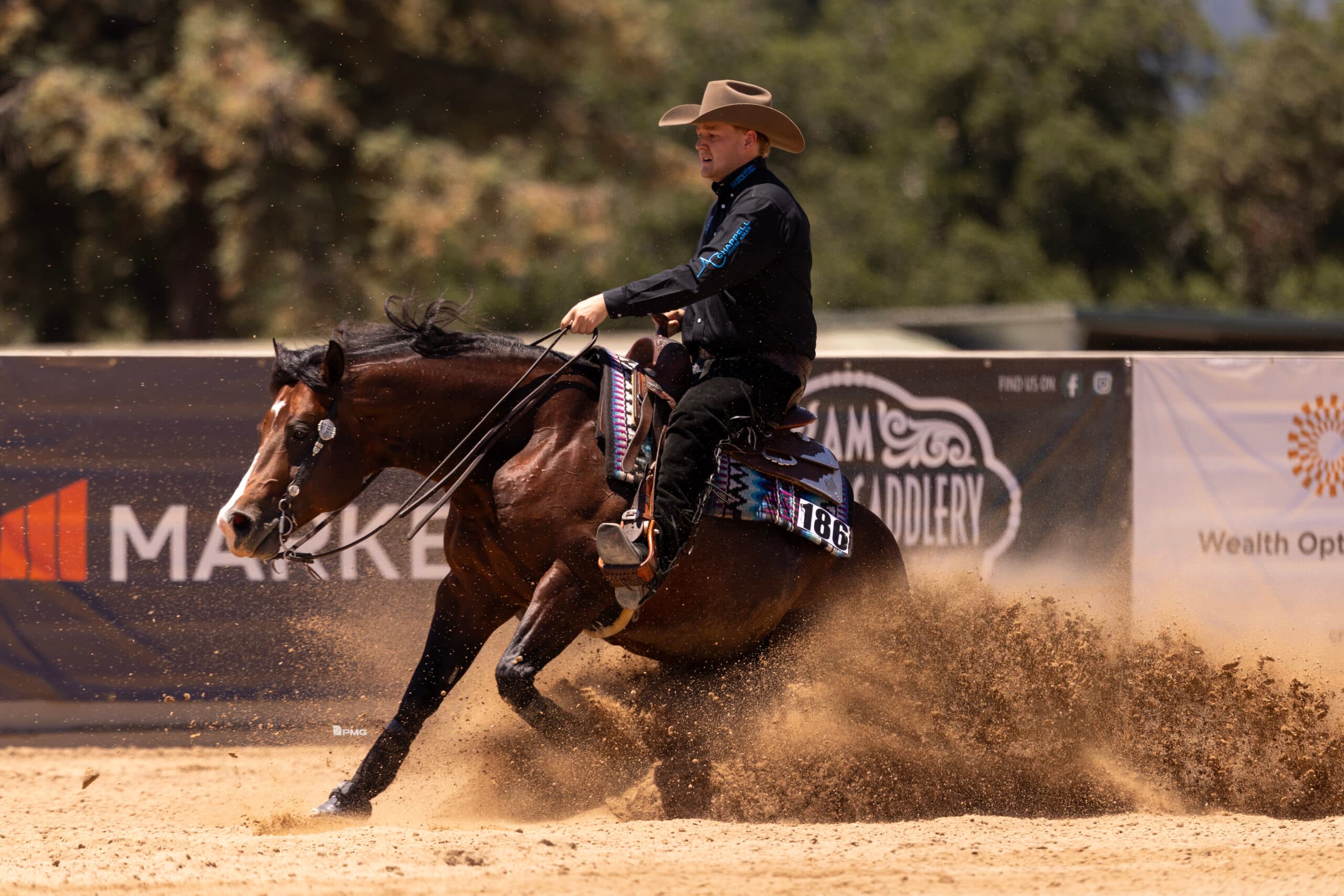 Reiner in a cowboy hat and black shirt slides his bay horse to a stop, kicking up a spray of dirt in the arena