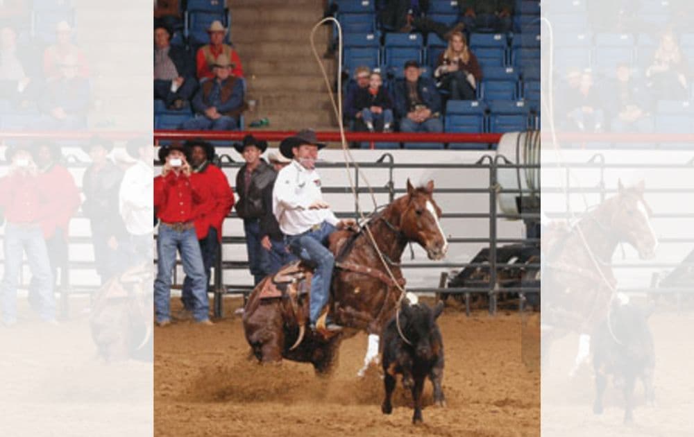 Trevor Brazile and Texaco compete bridleless